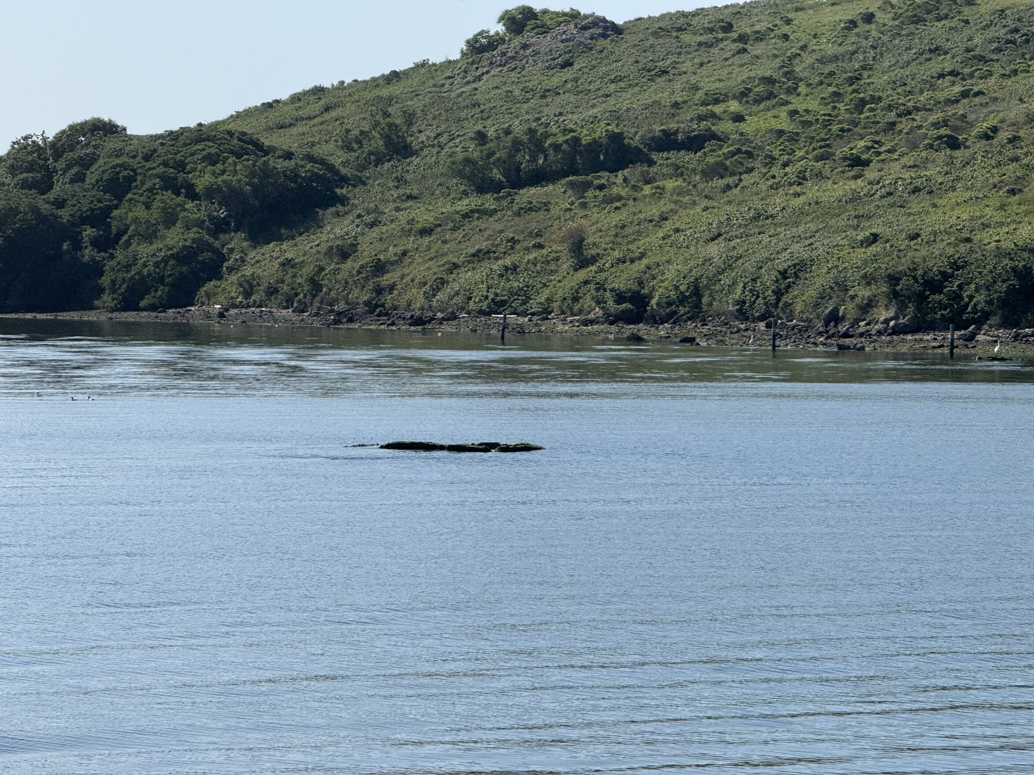 Brooks Island Regional Preserve