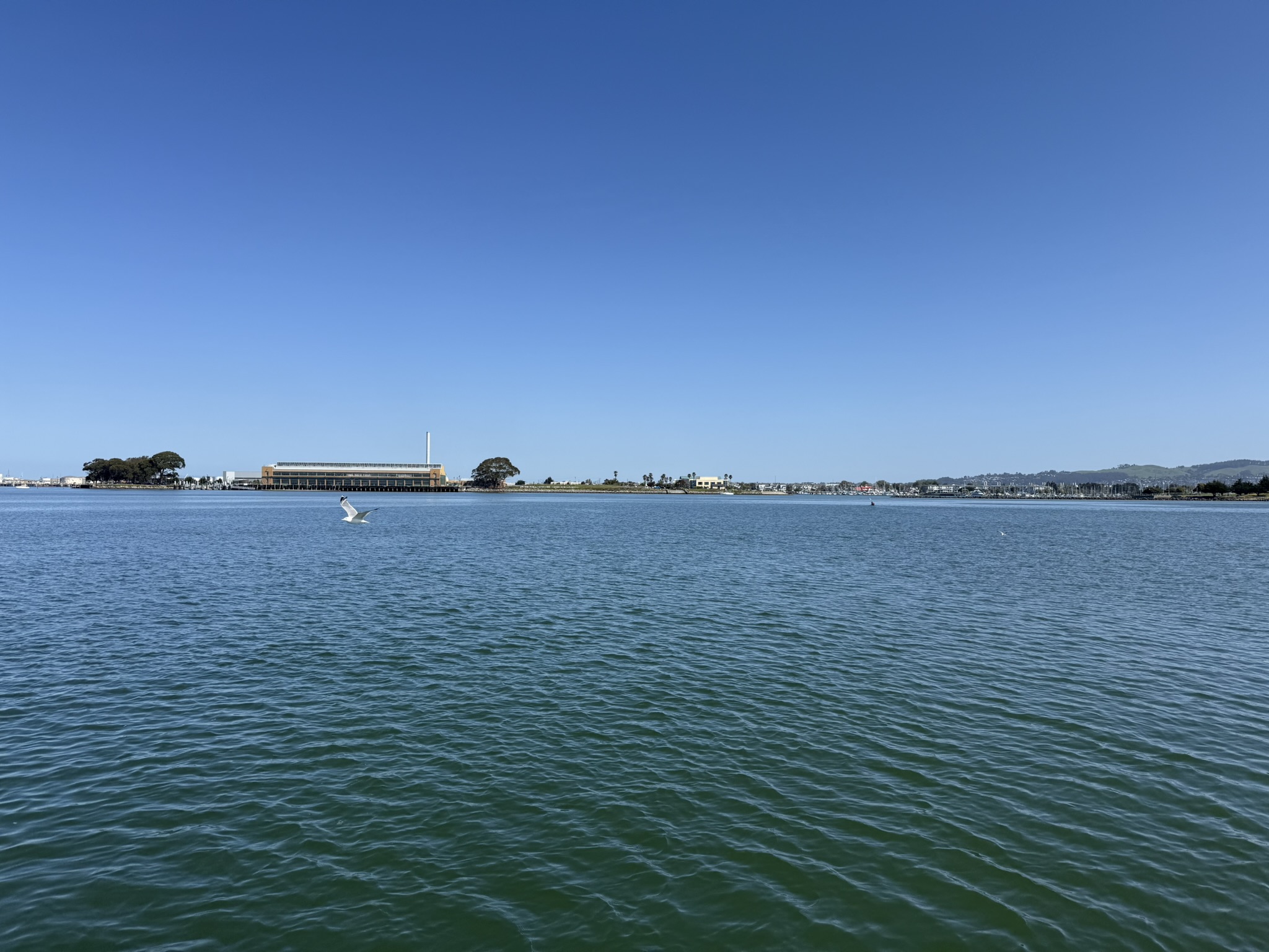 Brooks Island Regional Preserve