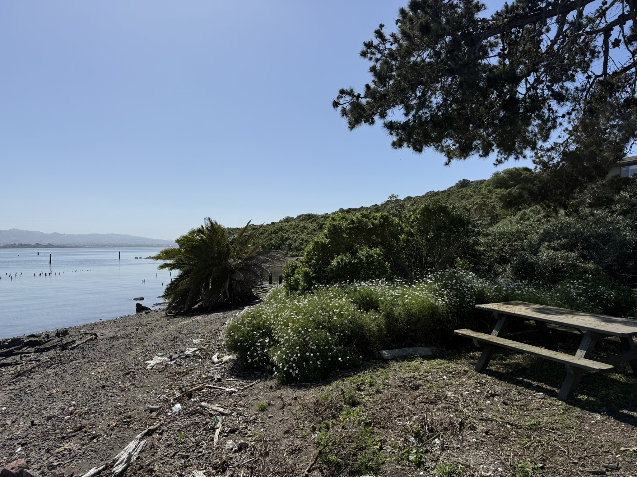 Brooks Island Regional Preserve