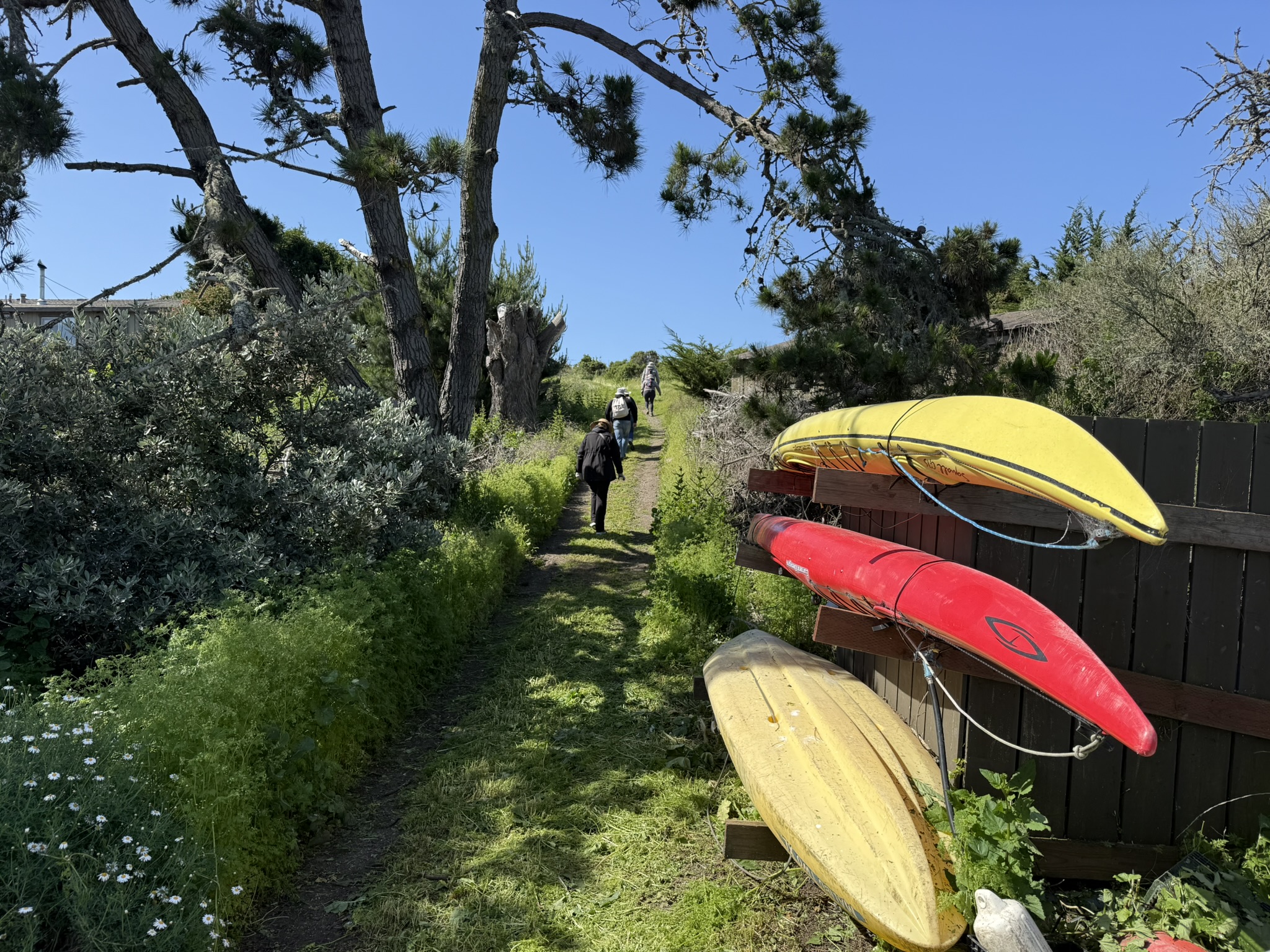 Brooks Island Regional Preserve