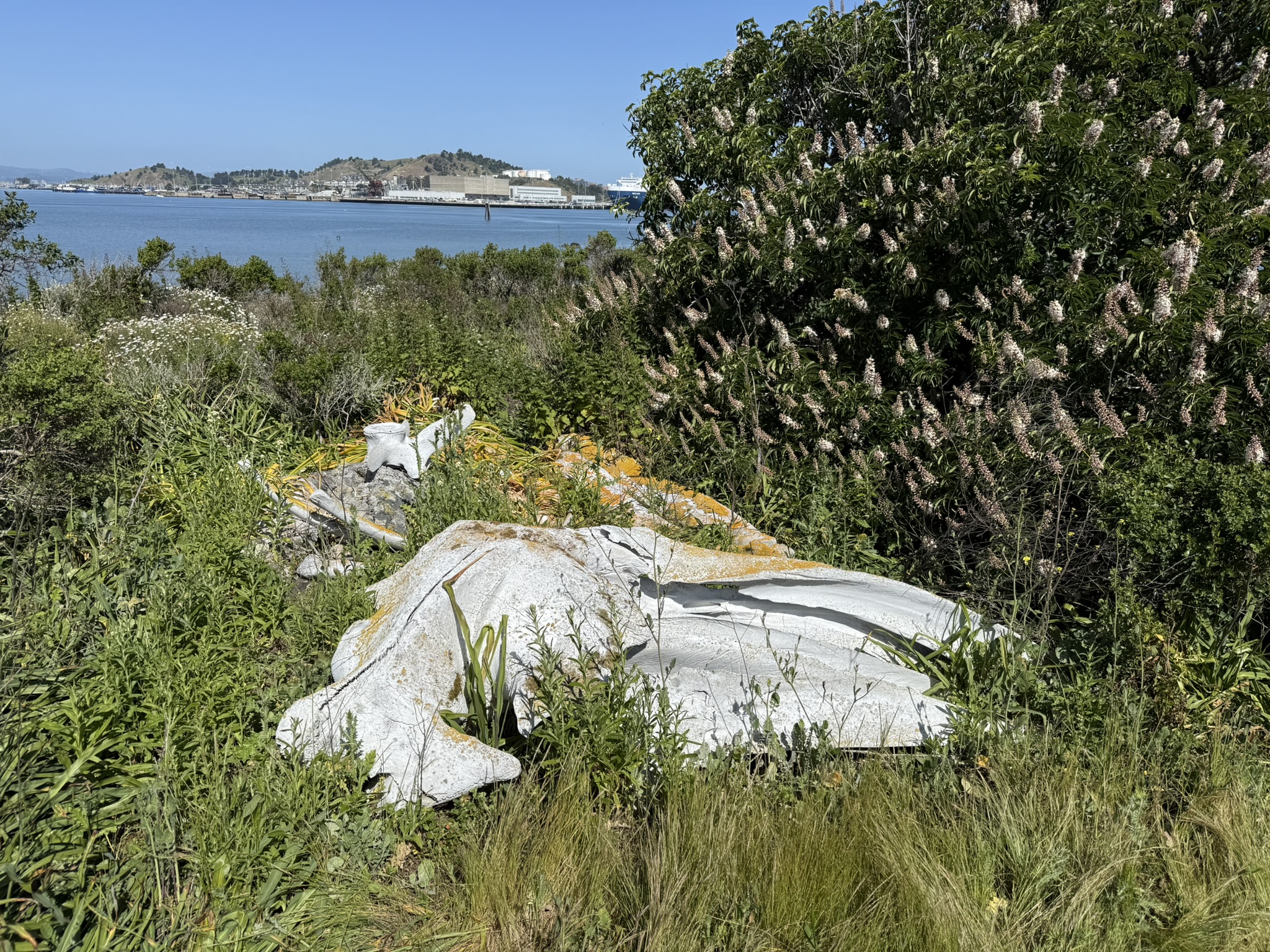 Brooks Island Regional Preserve