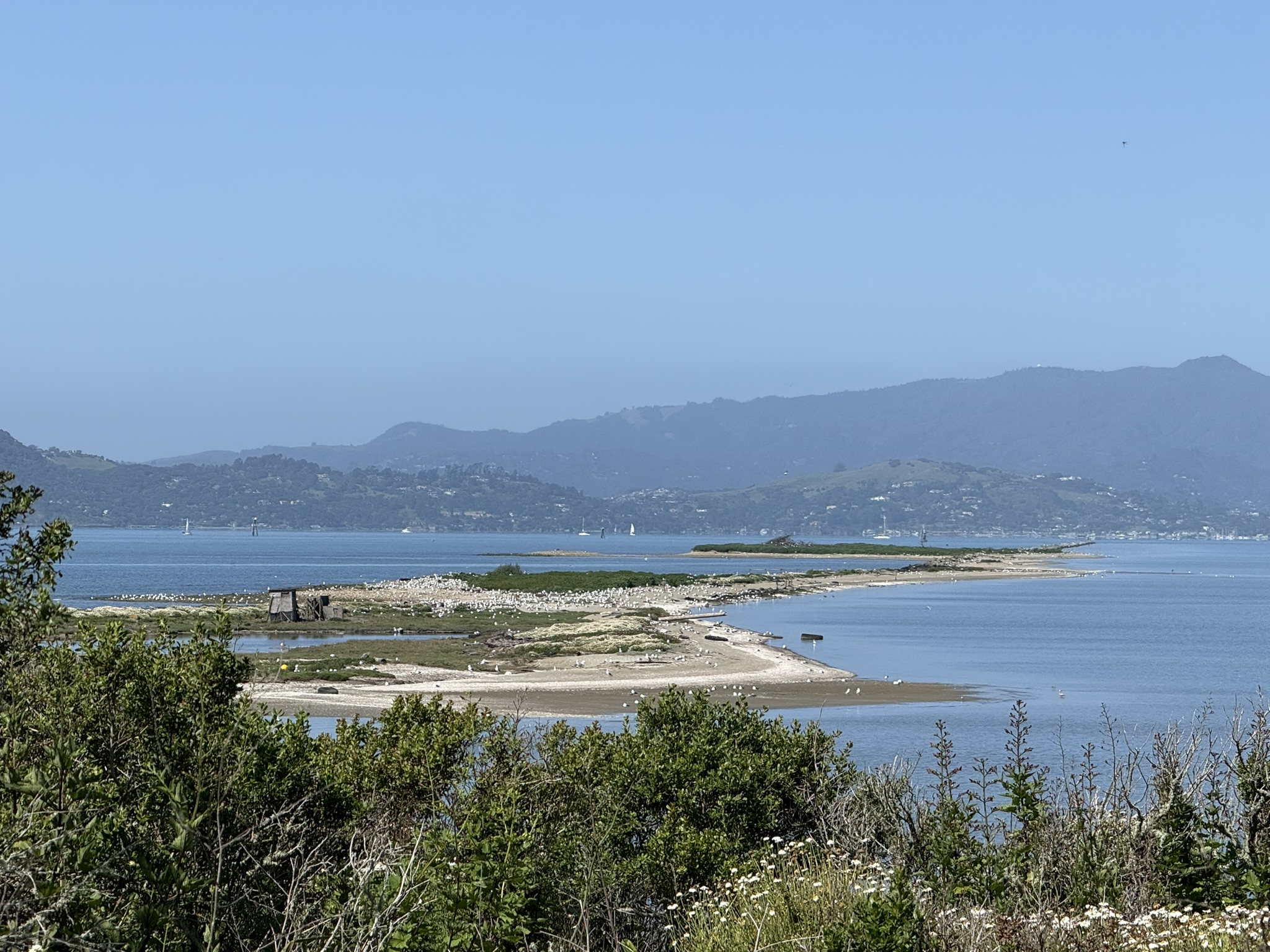 Brooks Island Regional Preserve