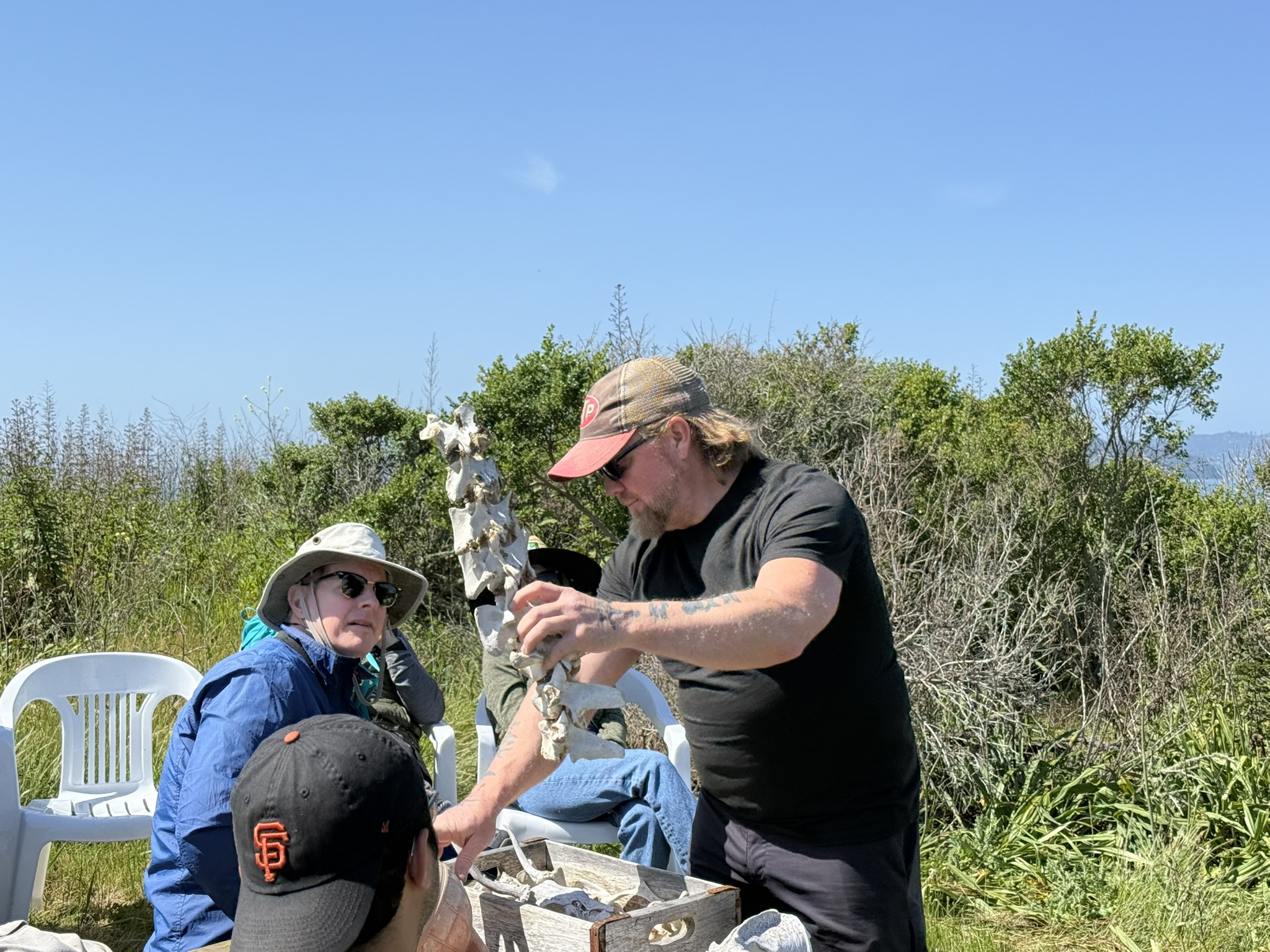 Brooks Island Regional Preserve