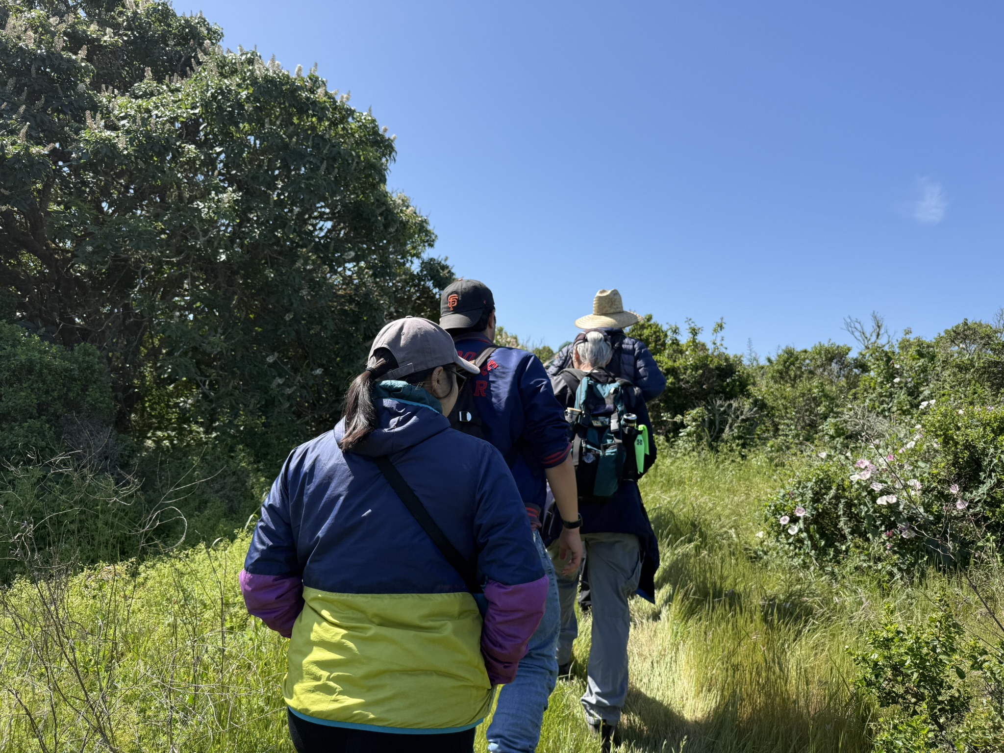 Brooks Island Regional Preserve