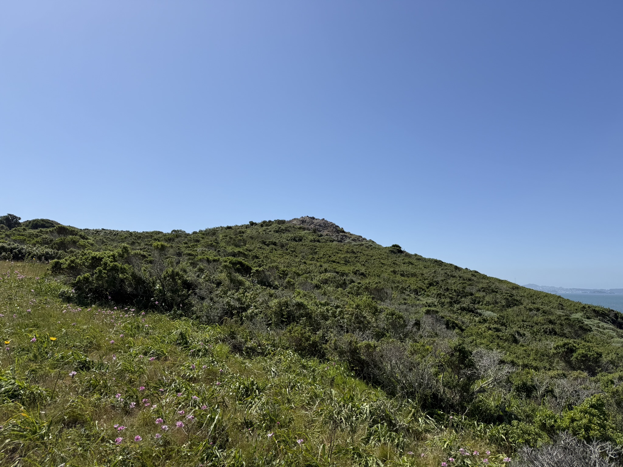 Brooks Island Regional Preserve