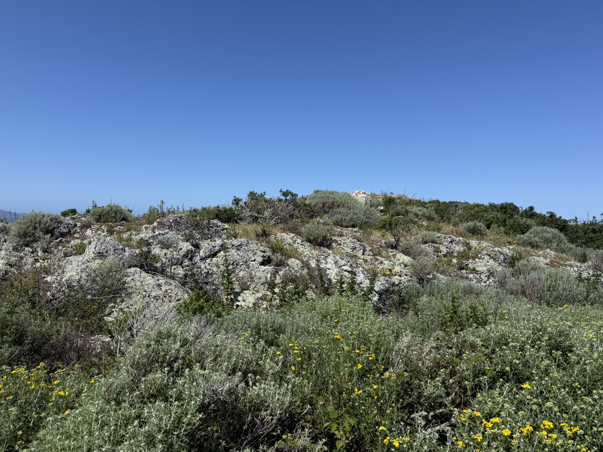 Brooks Island Regional Preserve