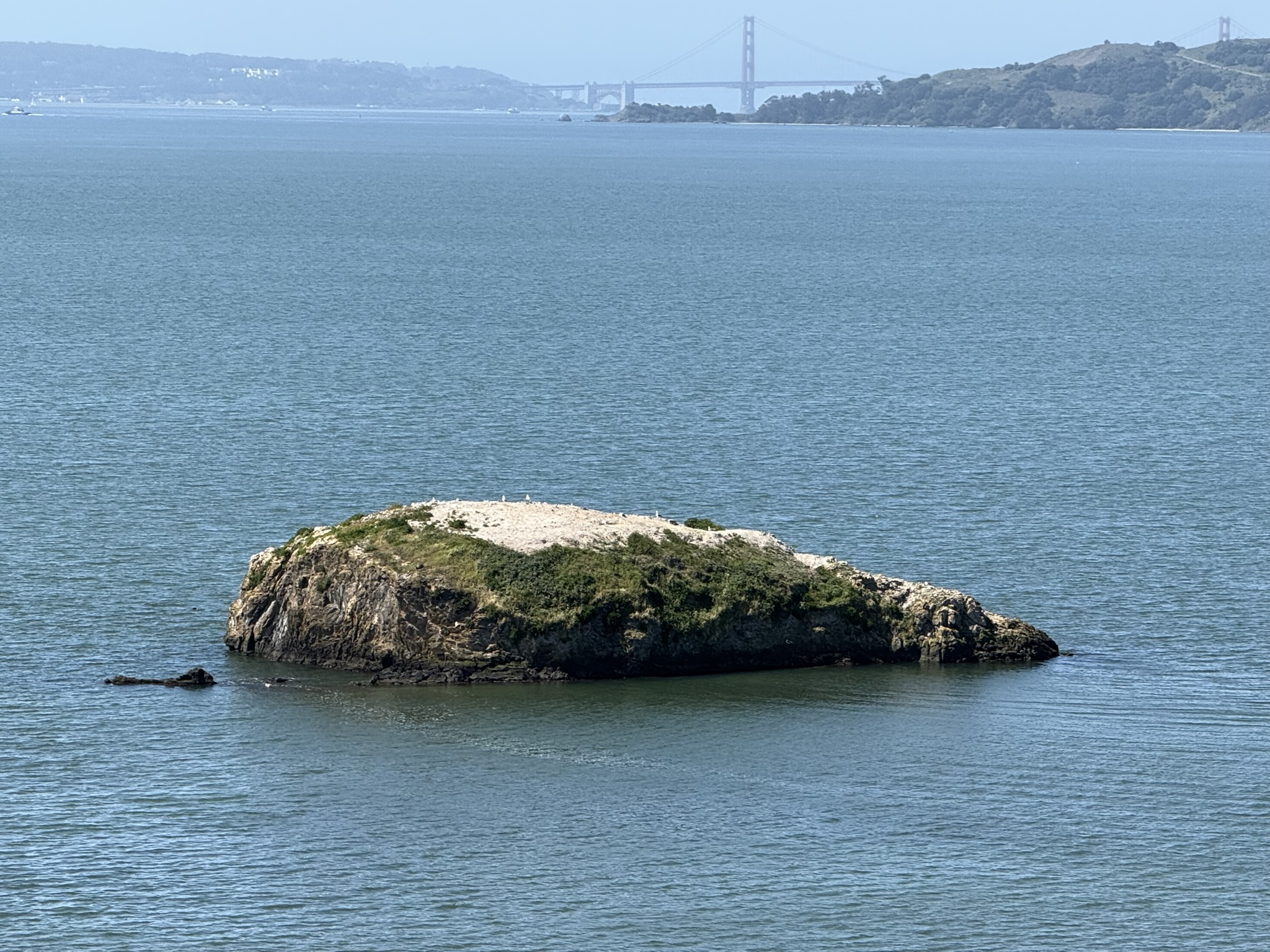 Brooks Island Regional Preserve