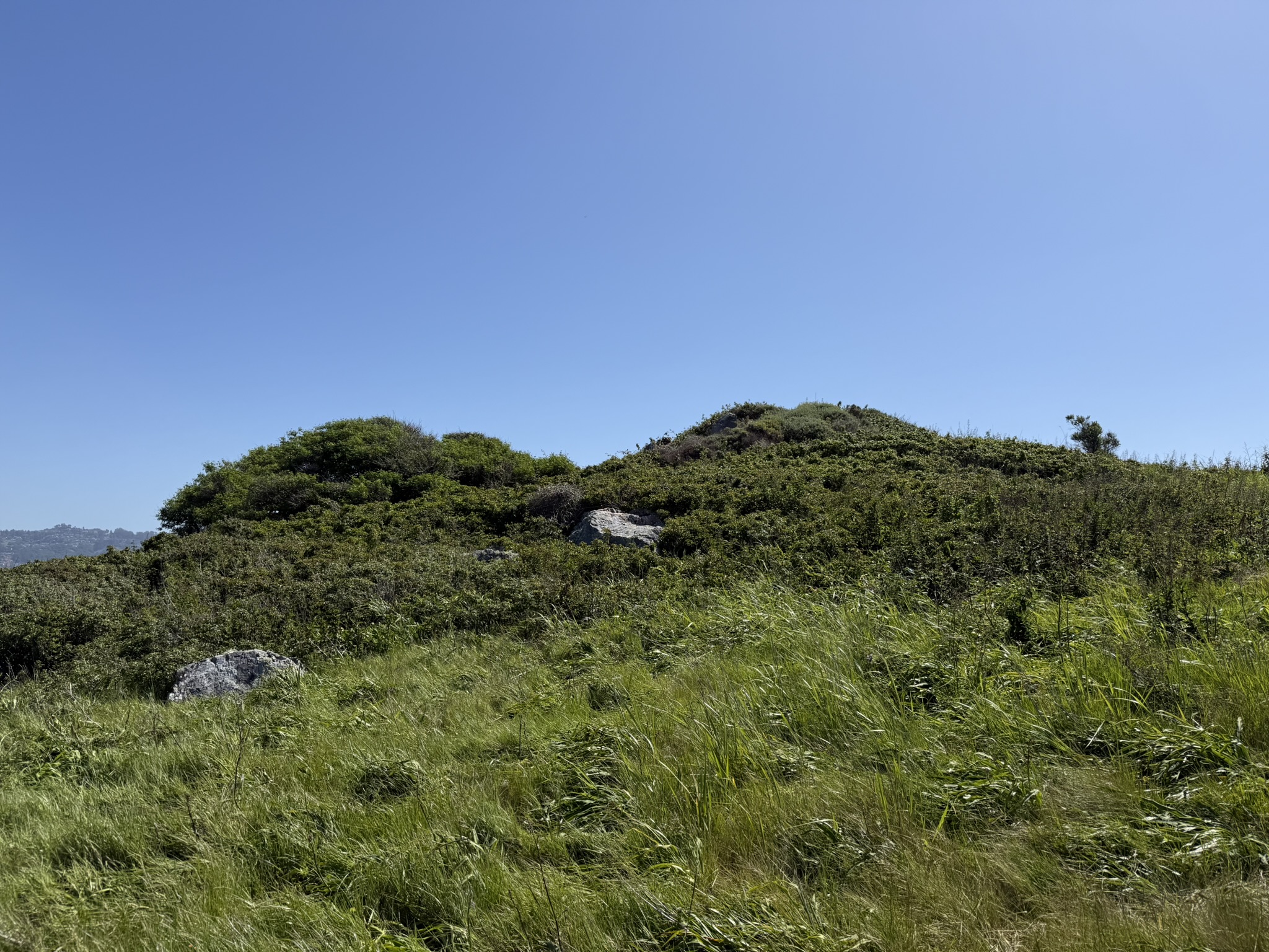 Brooks Island Regional Preserve