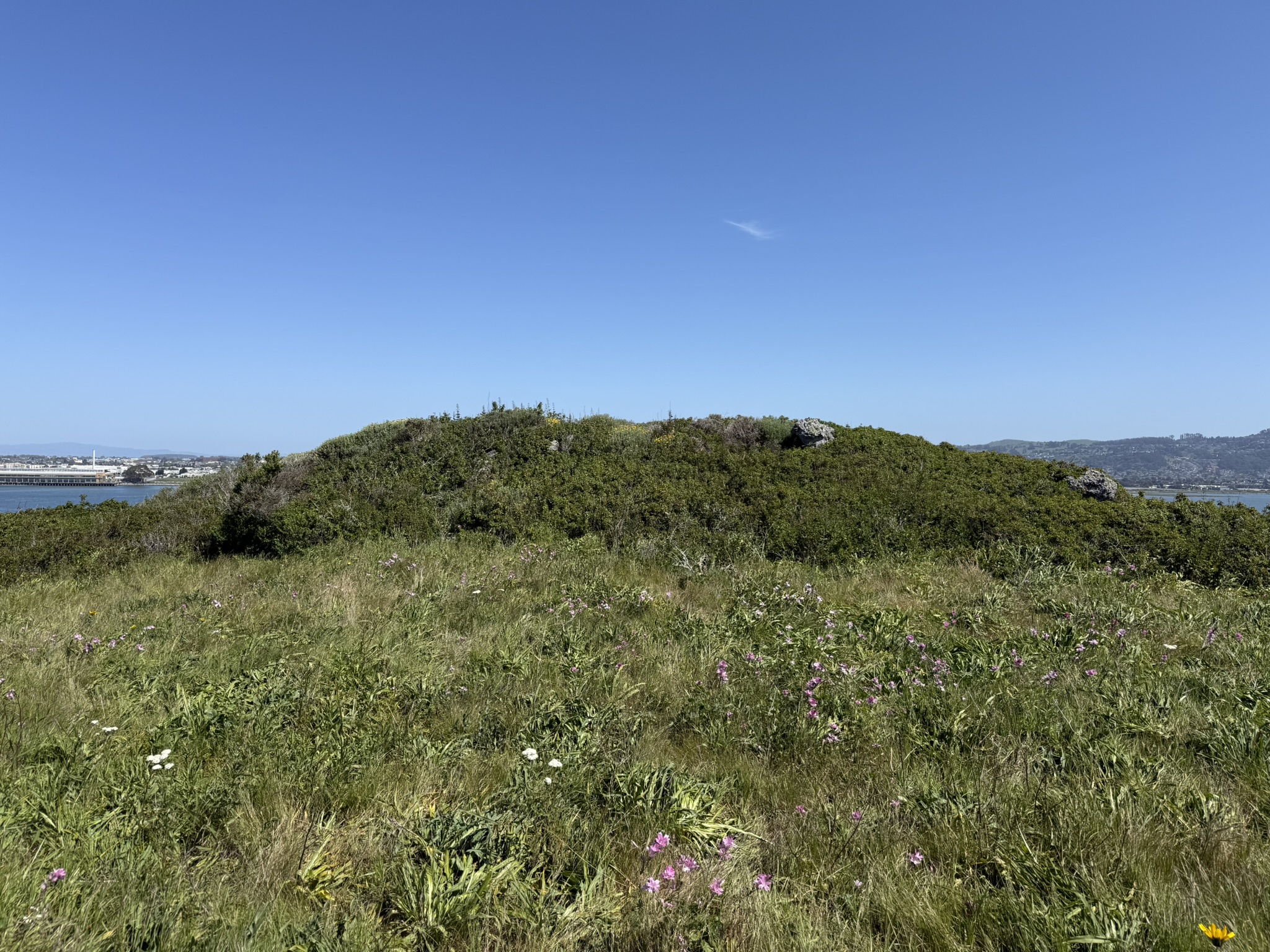 Brooks Island Regional Preserve