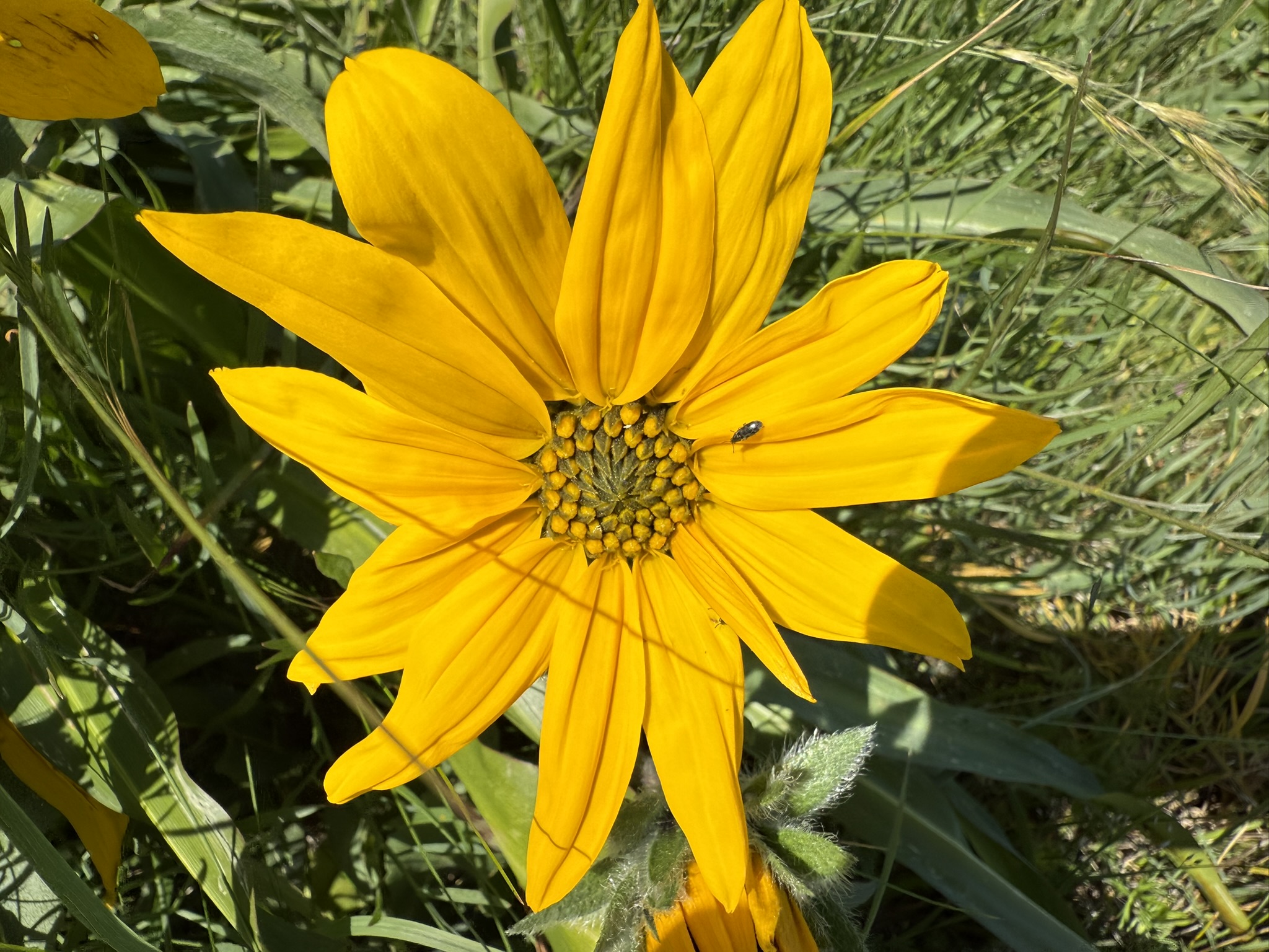 Brooks Island Regional Preserve