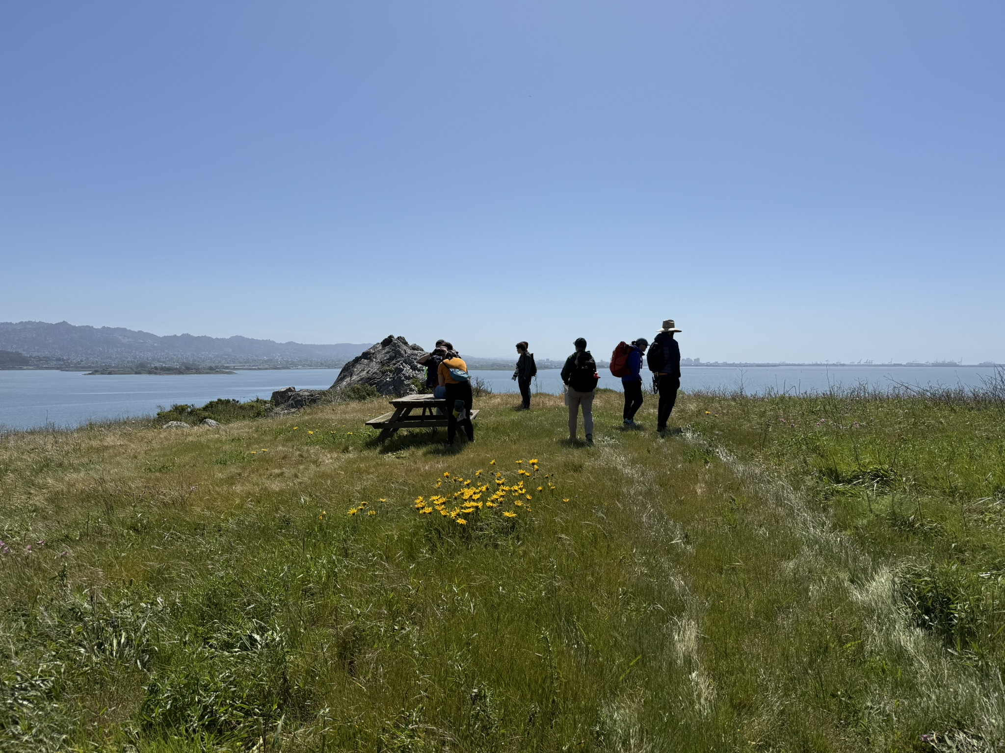 Brooks Island Regional Preserve