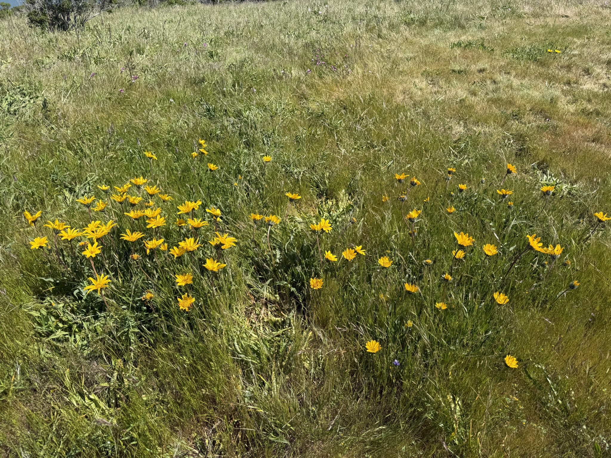 Brooks Island Regional Preserve