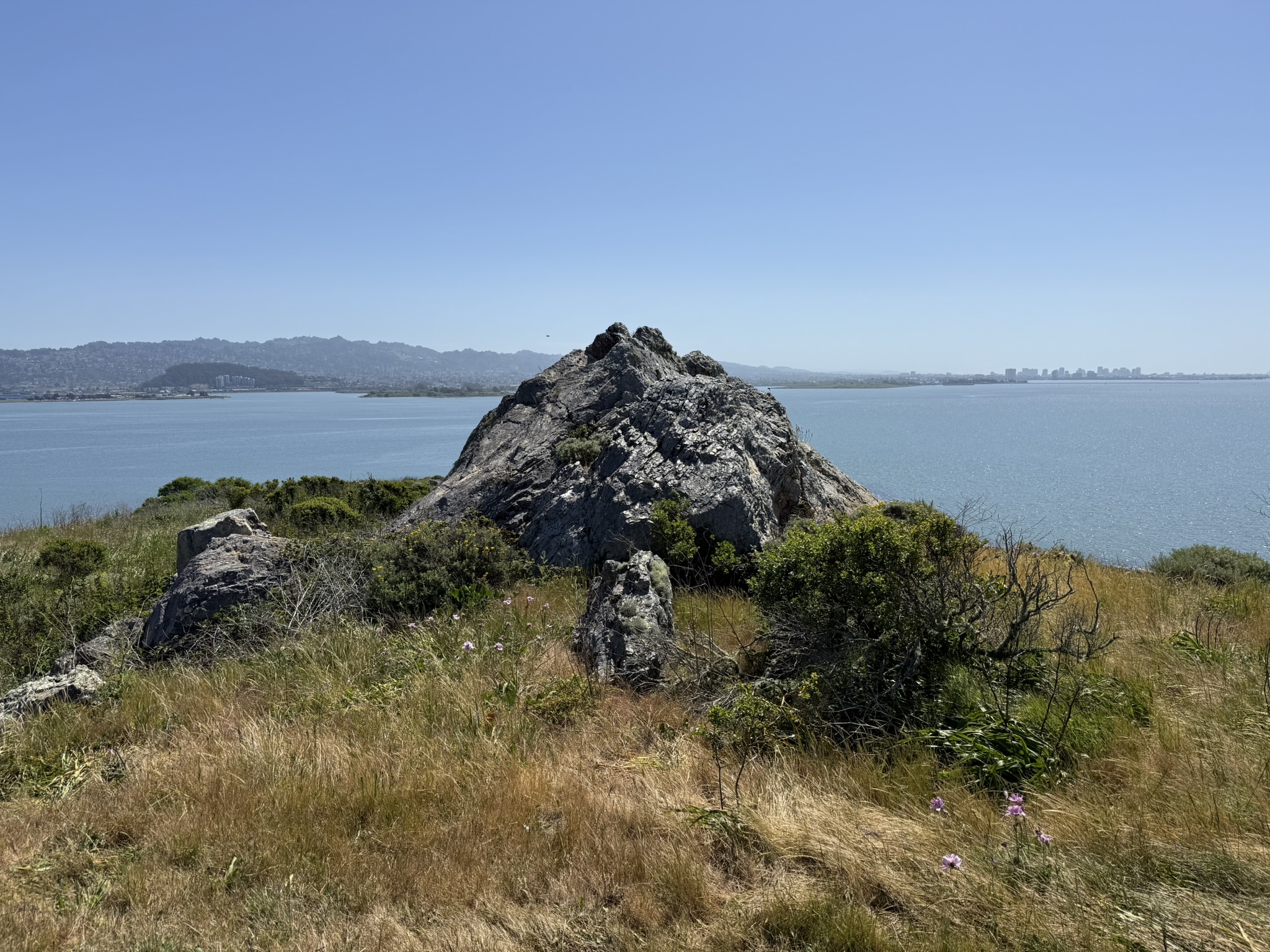 Brooks Island Regional Preserve