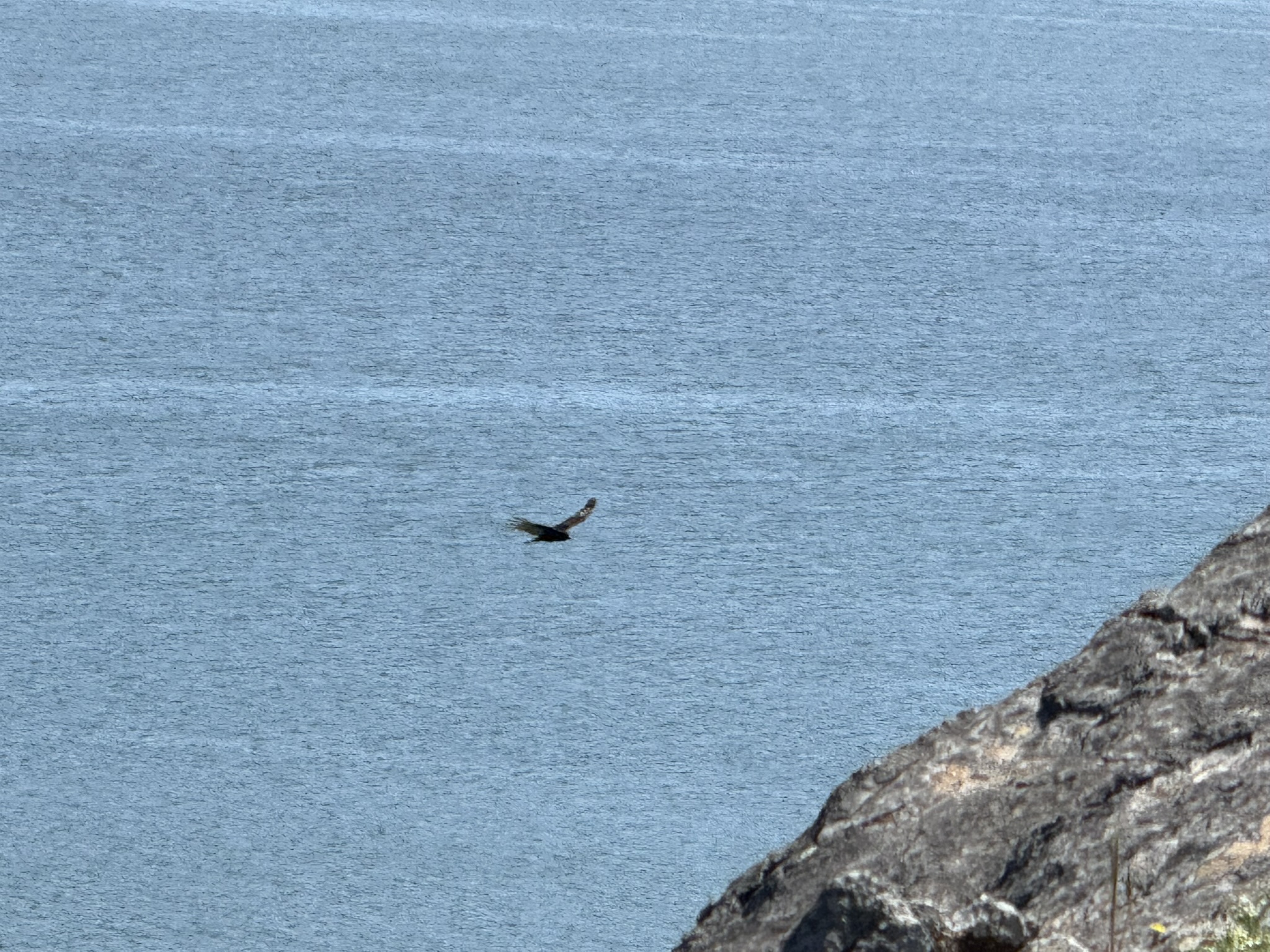 Brooks Island Regional Preserve