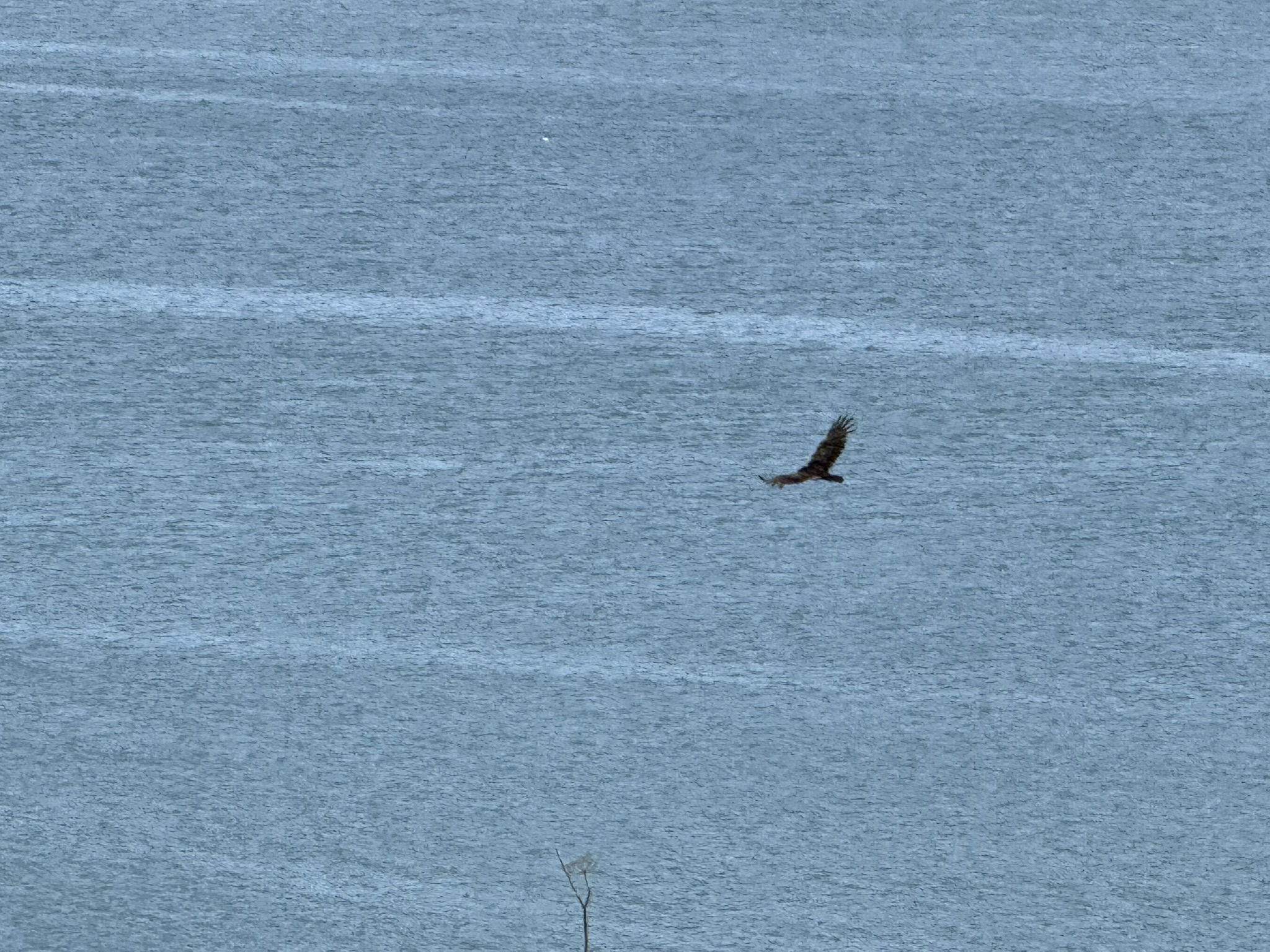 Brooks Island Regional Preserve