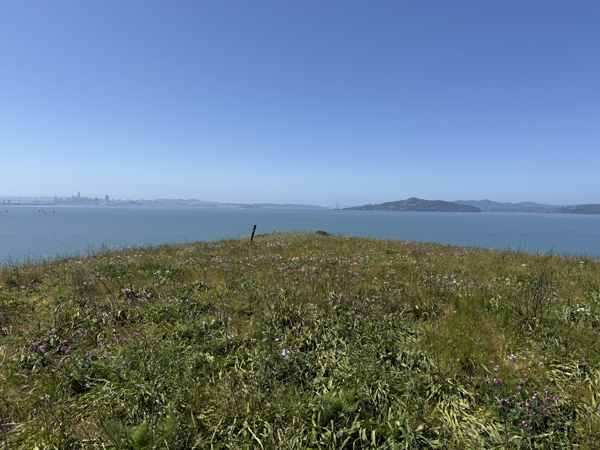 Brooks Island Regional Preserve