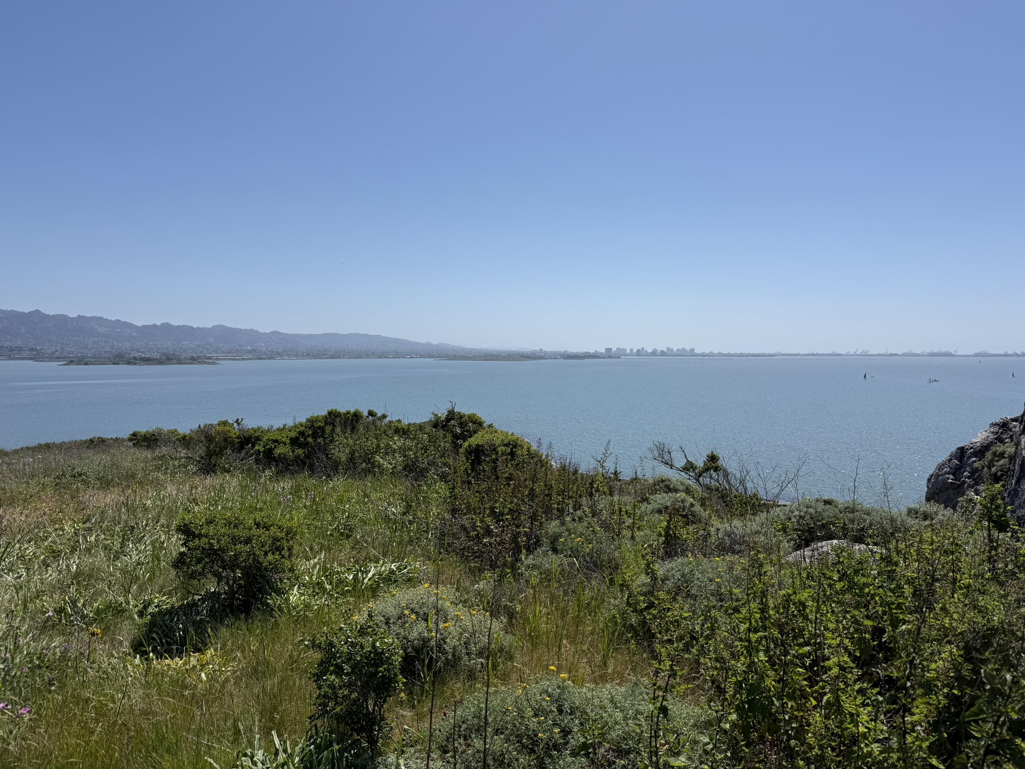 Brooks Island Regional Preserve