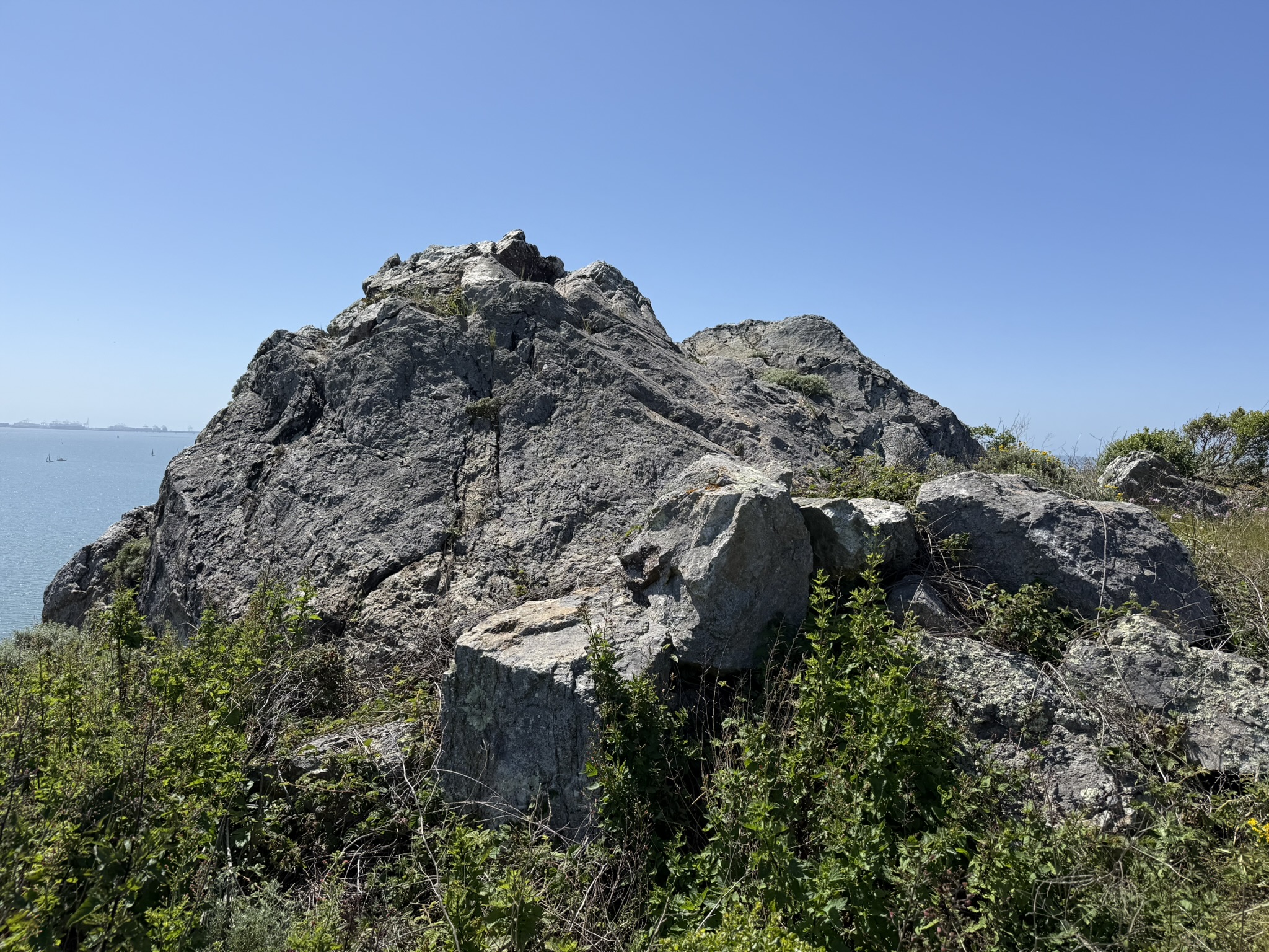 Brooks Island Regional Preserve