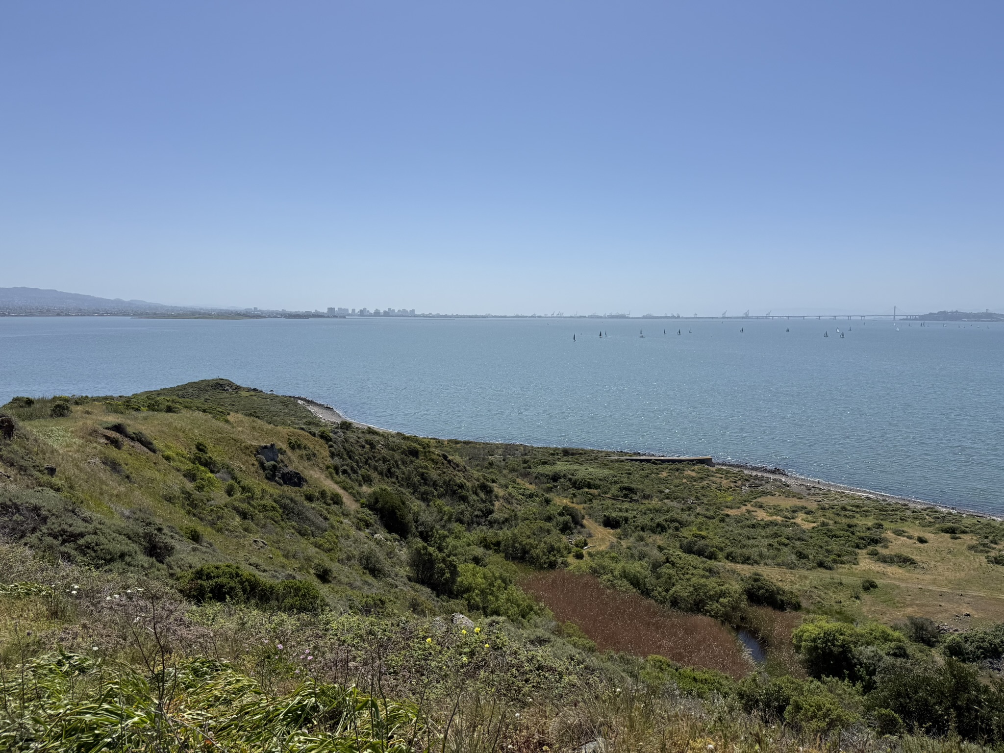 Brooks Island Regional Preserve