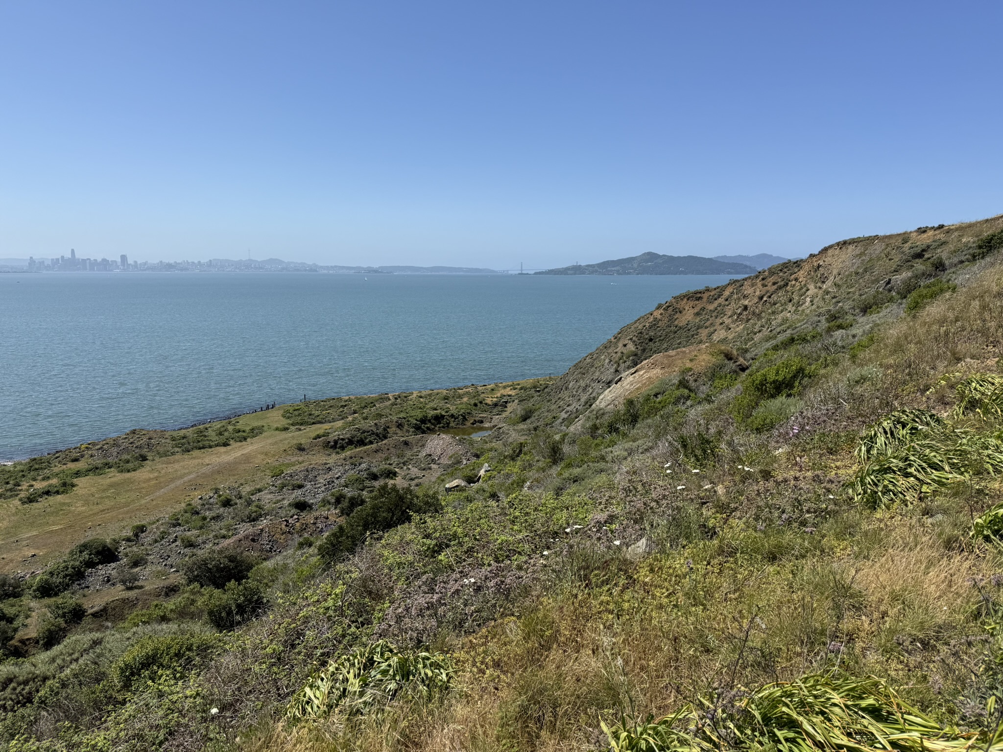 Brooks Island Regional Preserve