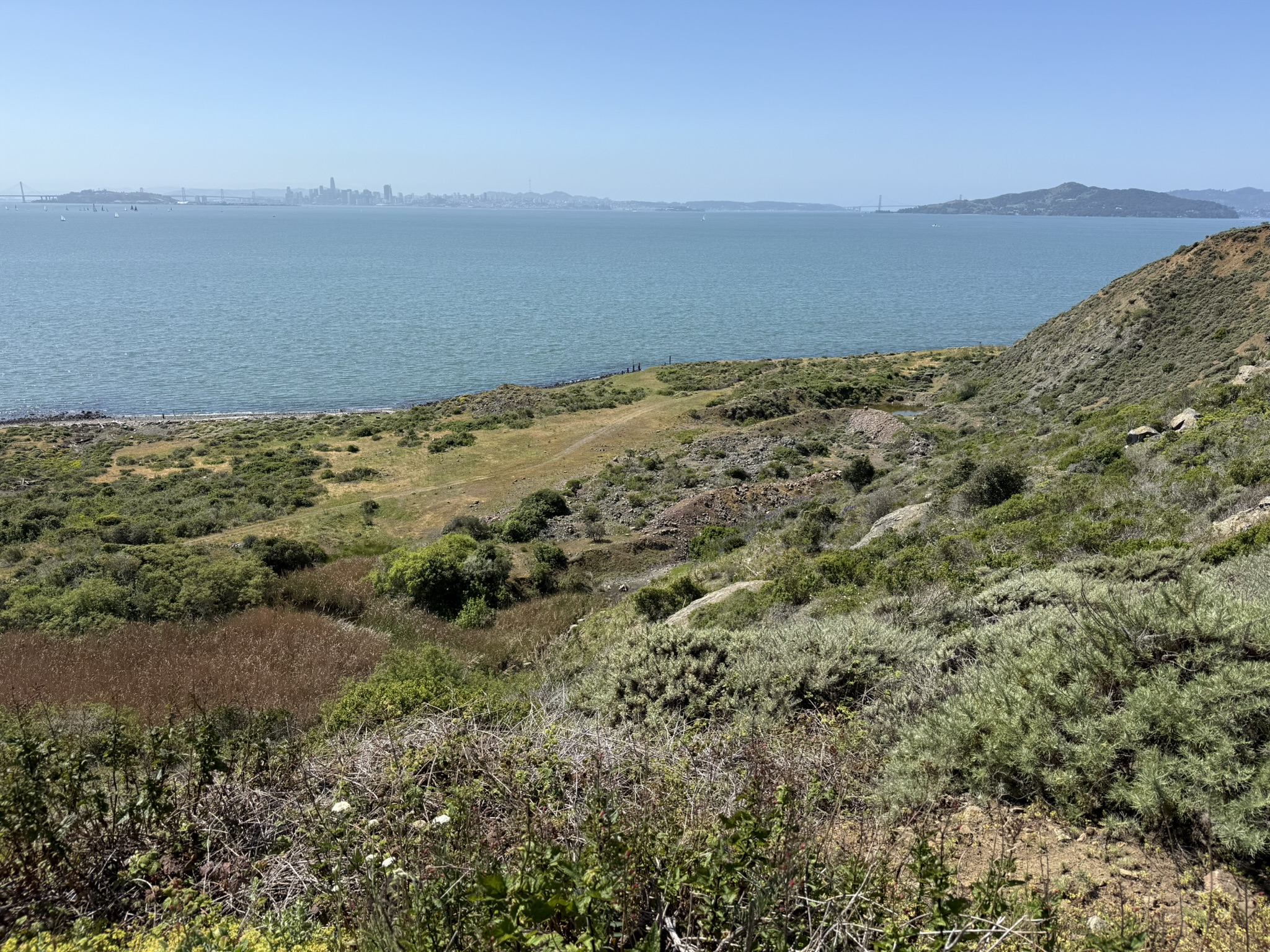 Brooks Island Regional Preserve