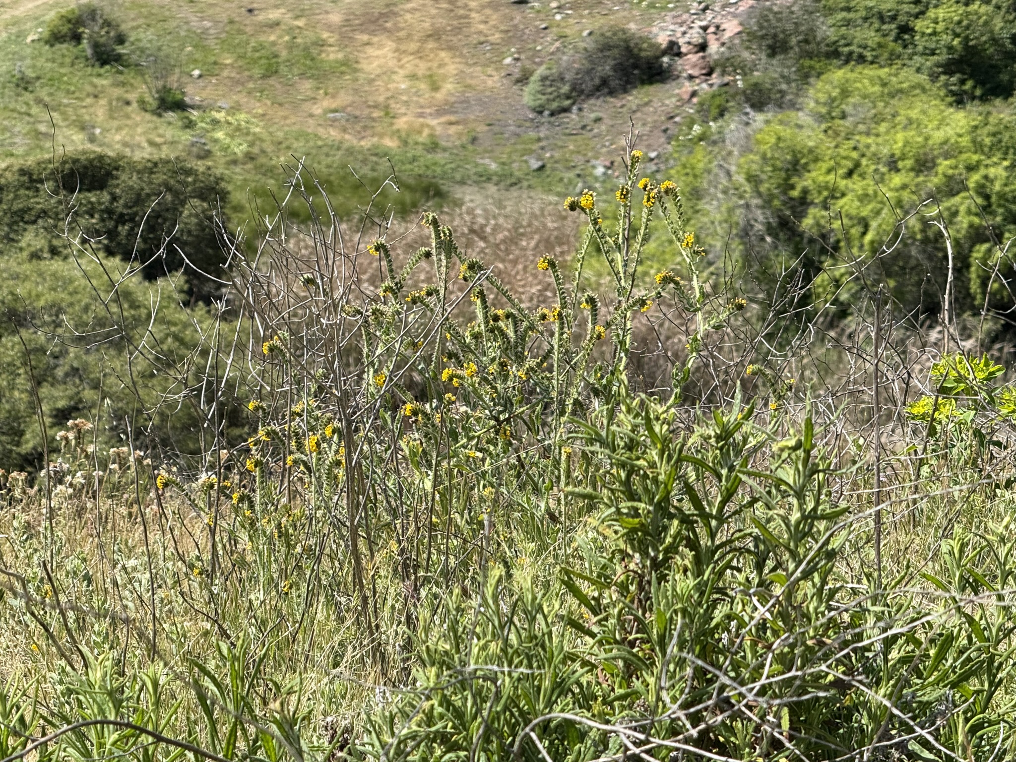 Brooks Island Regional Preserve