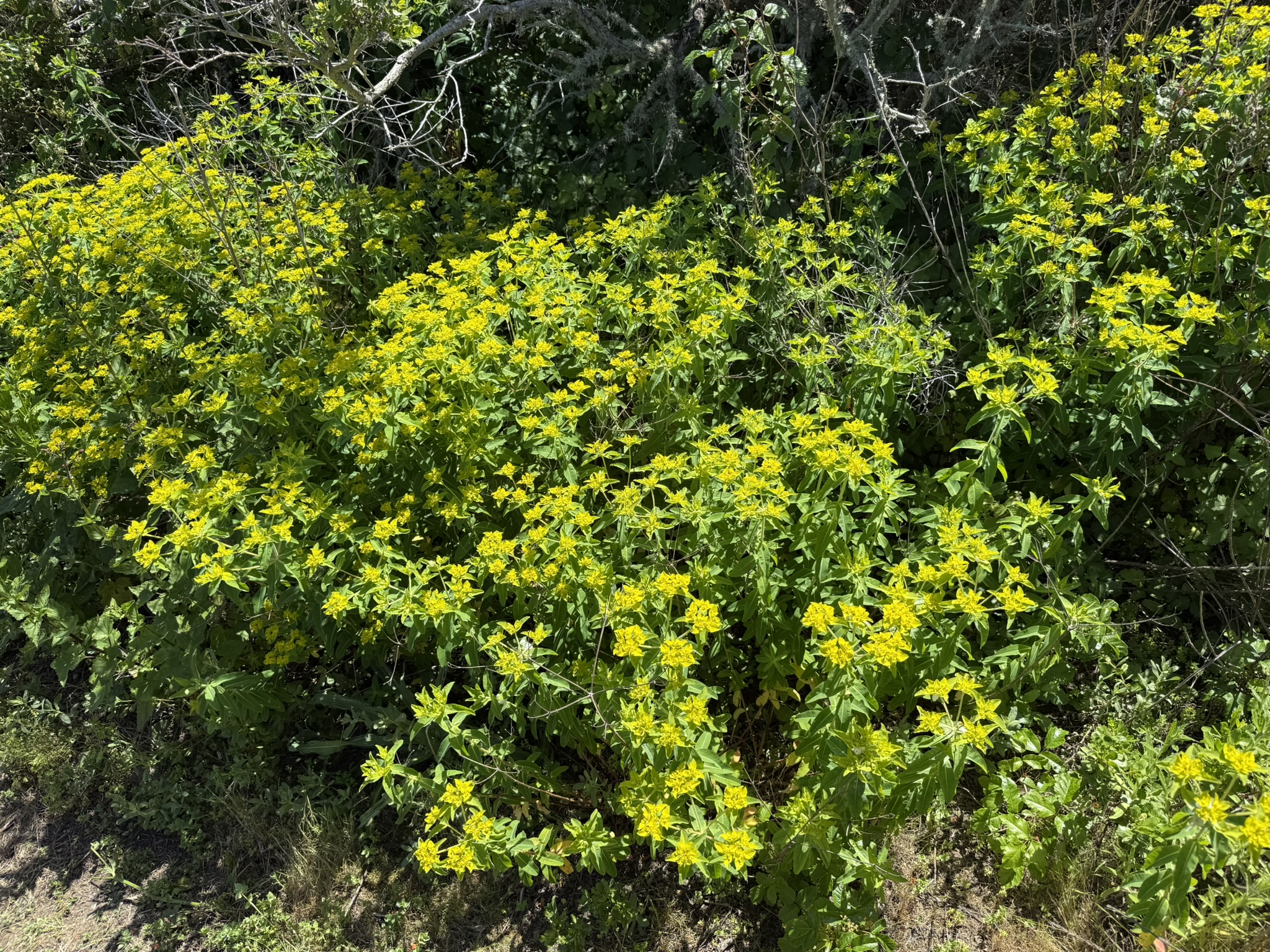 Brooks Island Regional Preserve