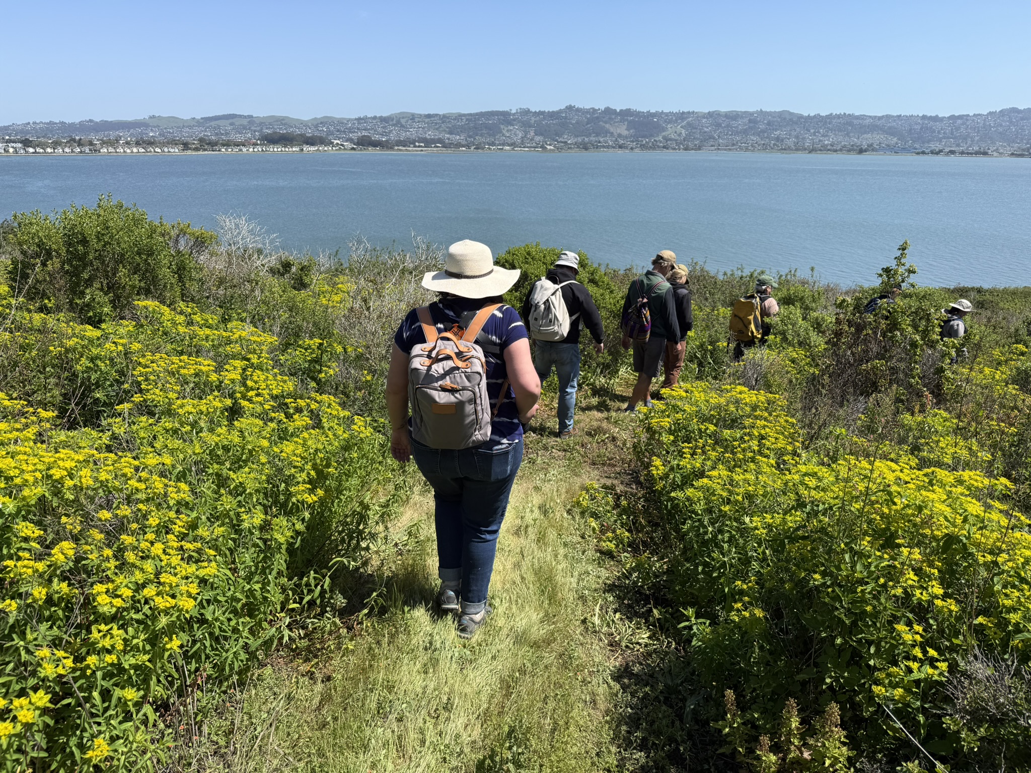 Brooks Island Regional Preserve