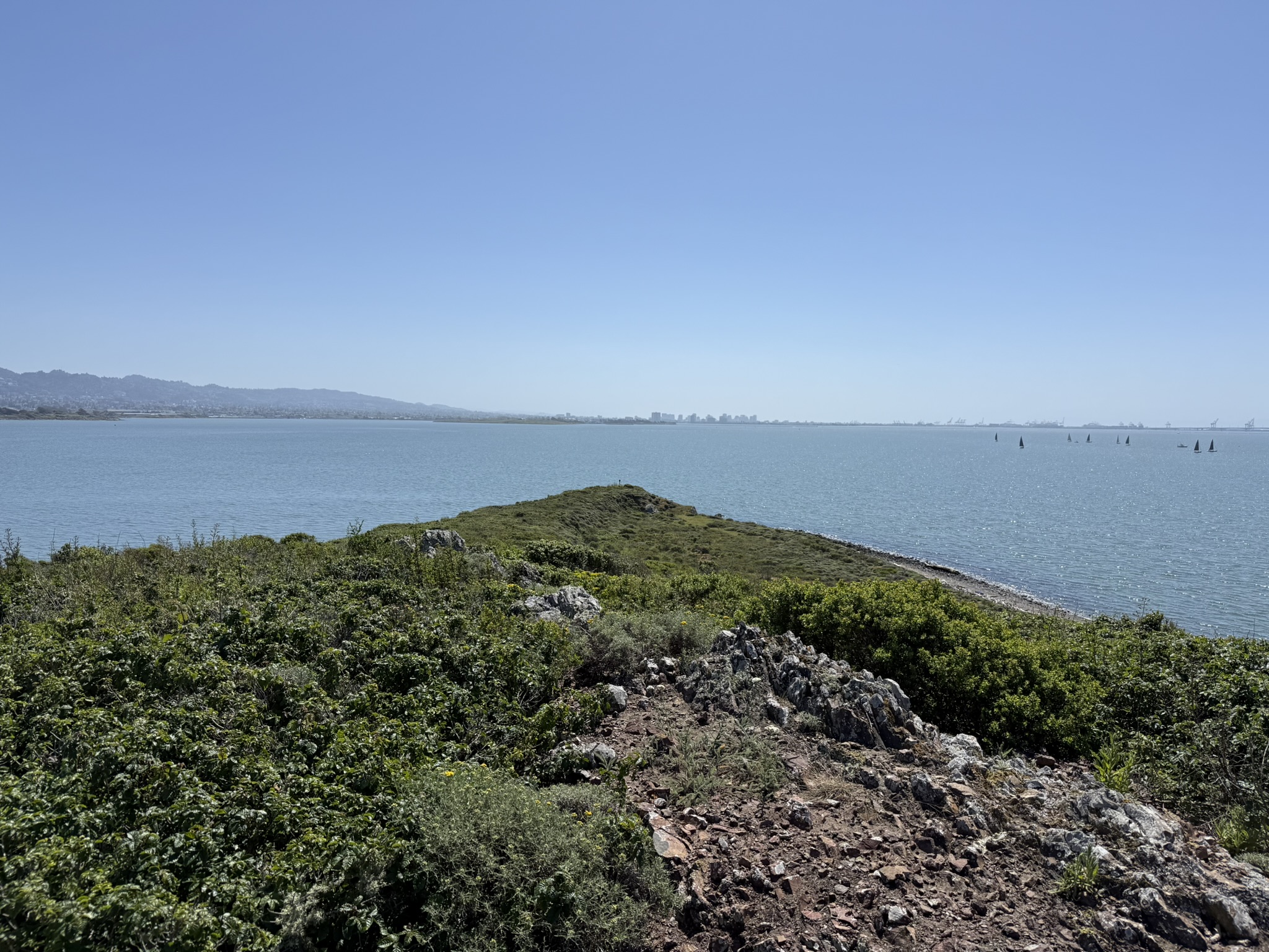 Brooks Island Regional Preserve