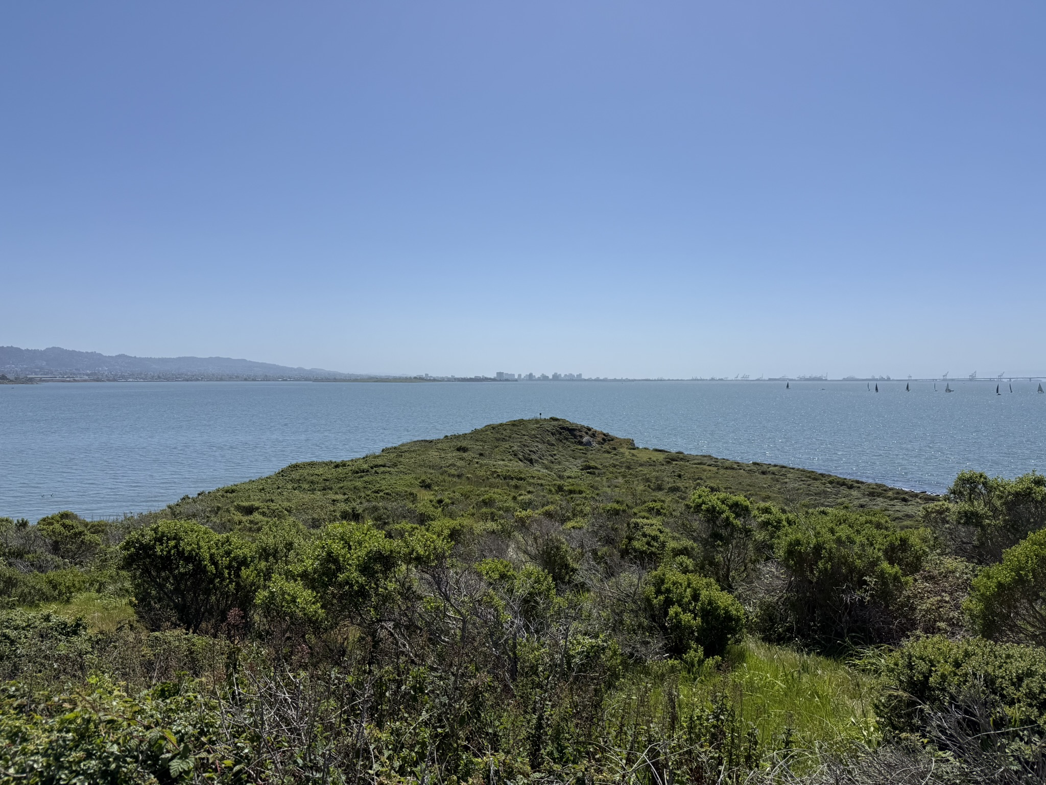 Brooks Island Regional Preserve
