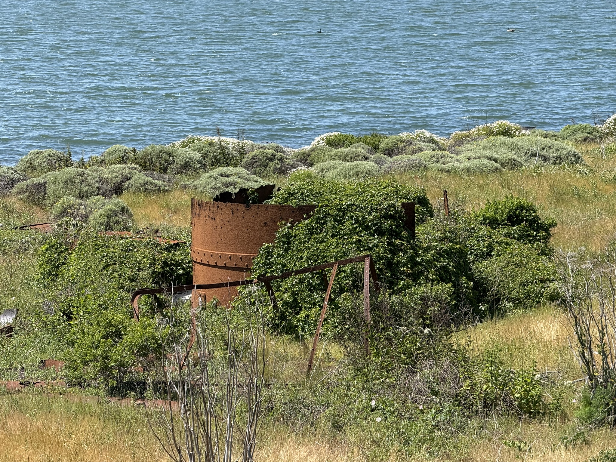 Brooks Island Regional Preserve