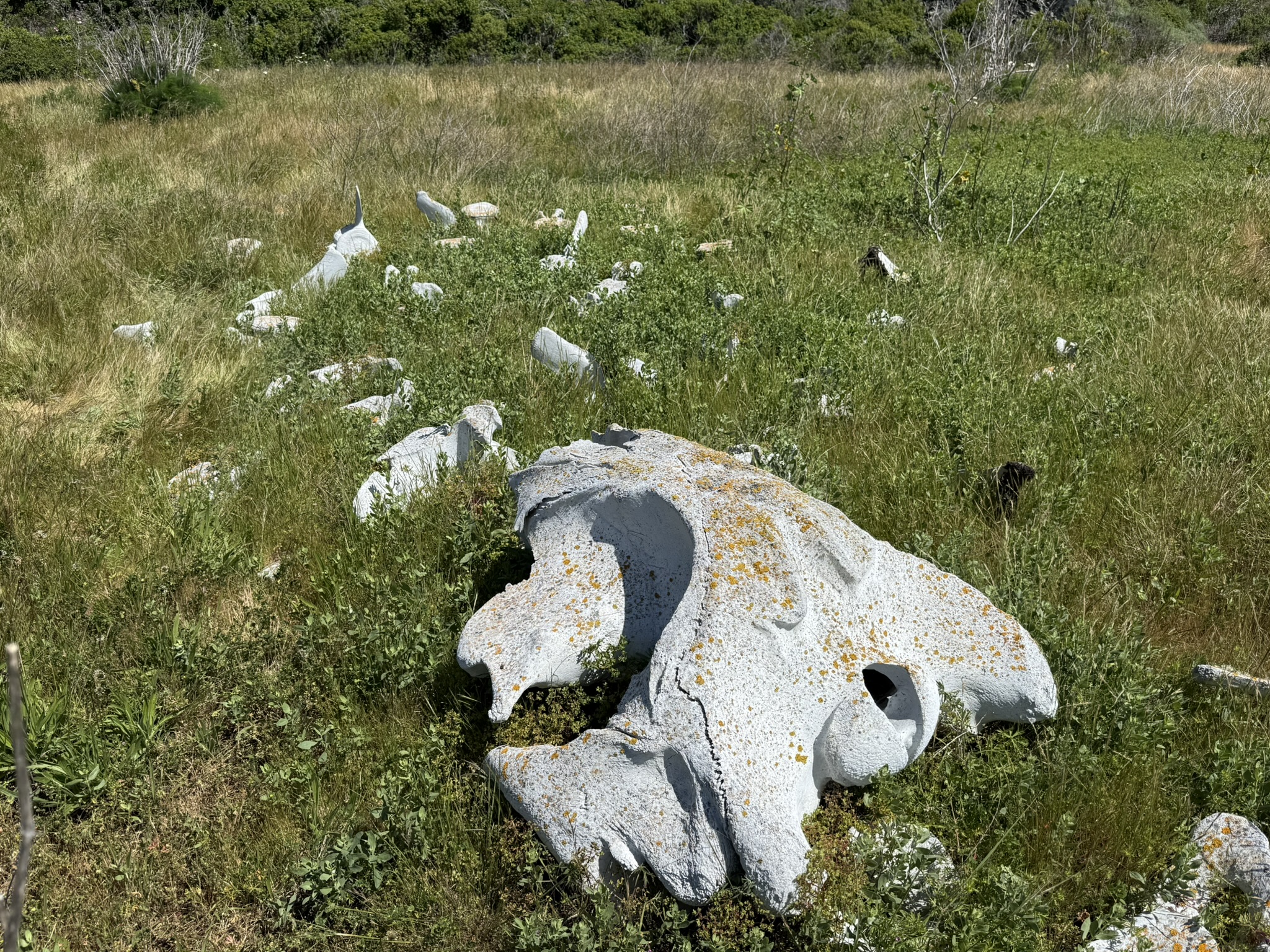 Brooks Island Regional Preserve