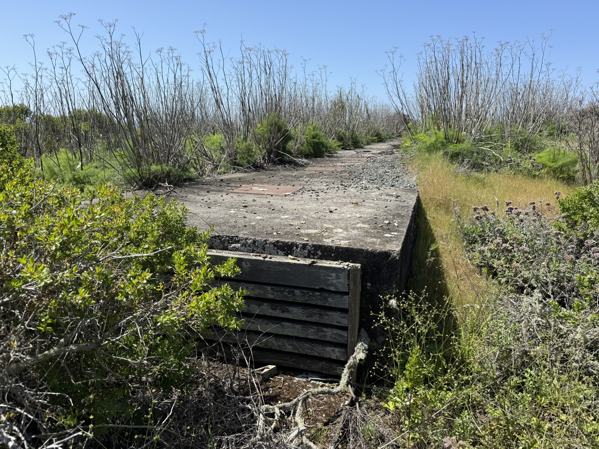Brooks Island Regional Preserve