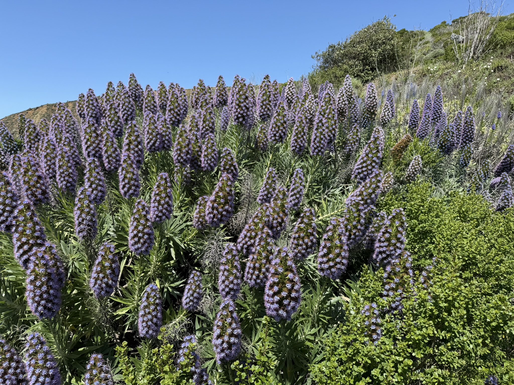 Brooks Island Regional Preserve