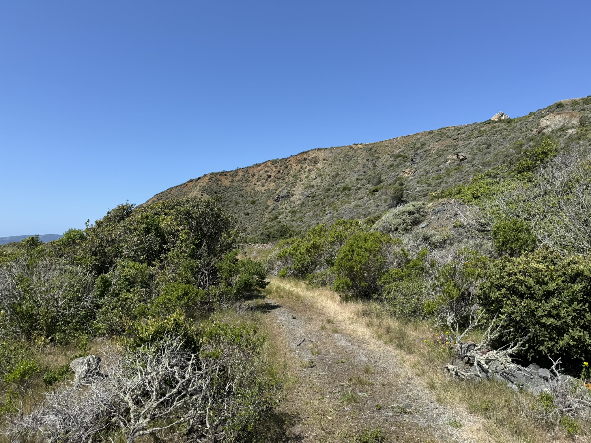 Brooks Island Regional Preserve