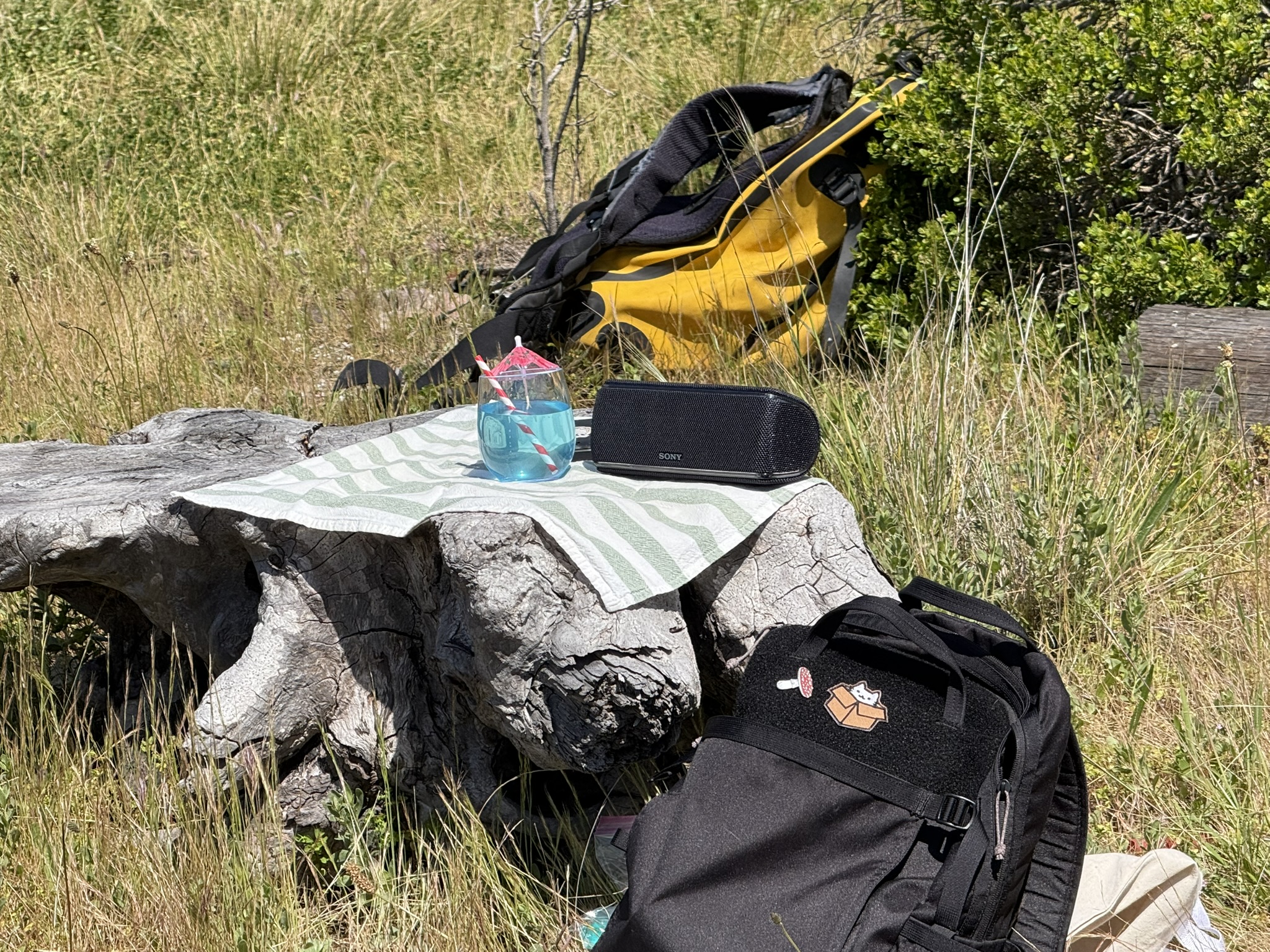 Brooks Island Regional Preserve