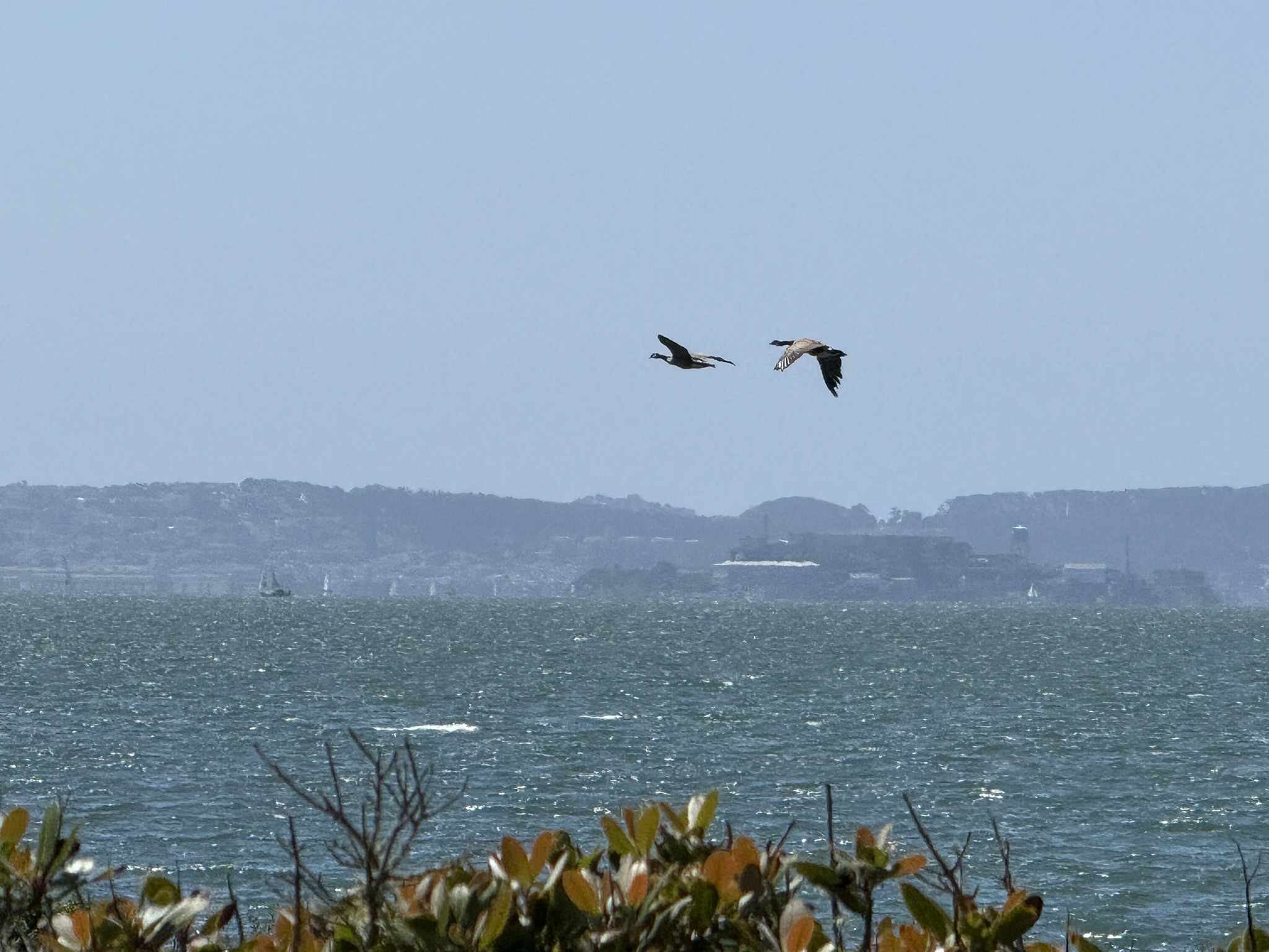 Brooks Island Regional Preserve