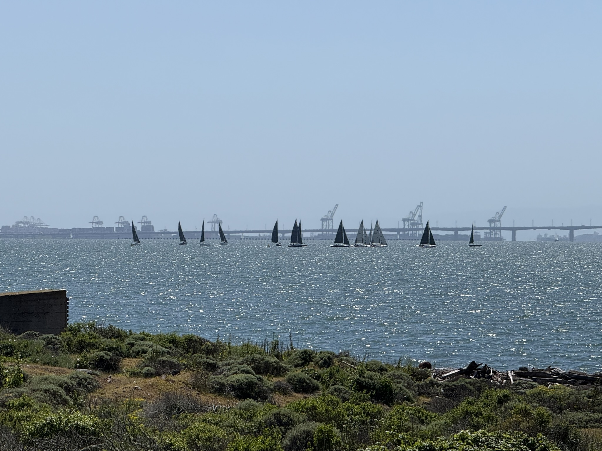 Brooks Island Regional Preserve