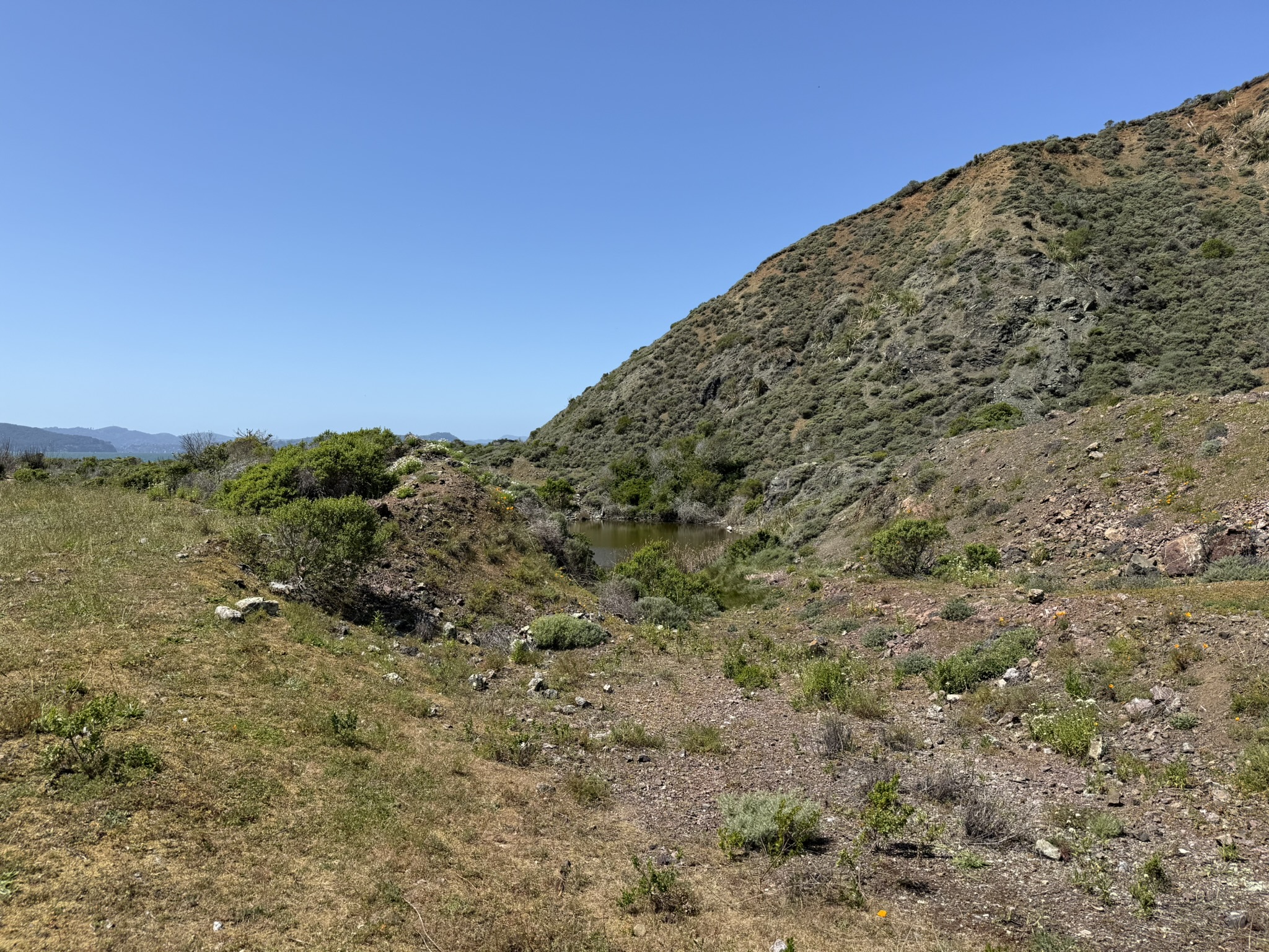 Brooks Island Regional Preserve