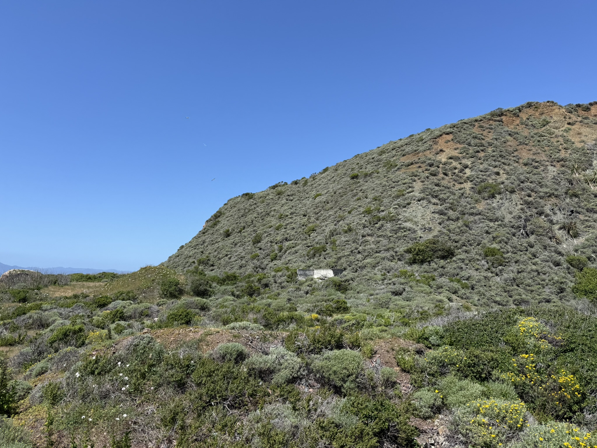 Brooks Island Regional Preserve