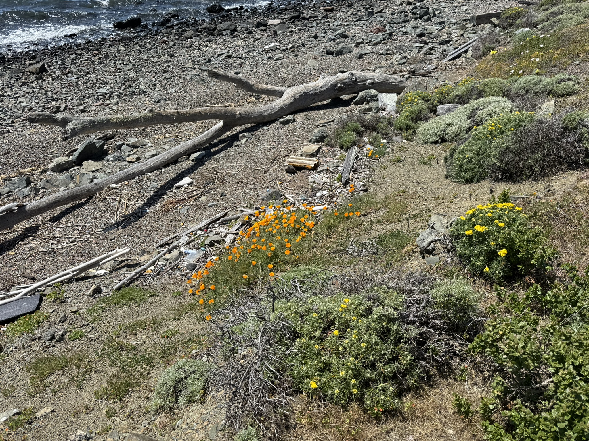 Brooks Island Regional Preserve
