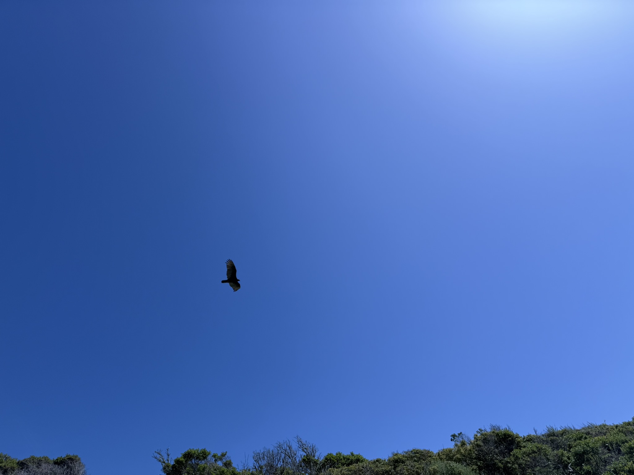 Brooks Island Regional Preserve