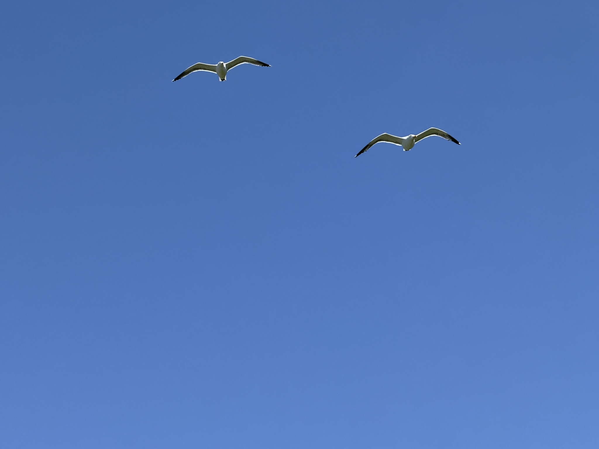 Brooks Island Regional Preserve