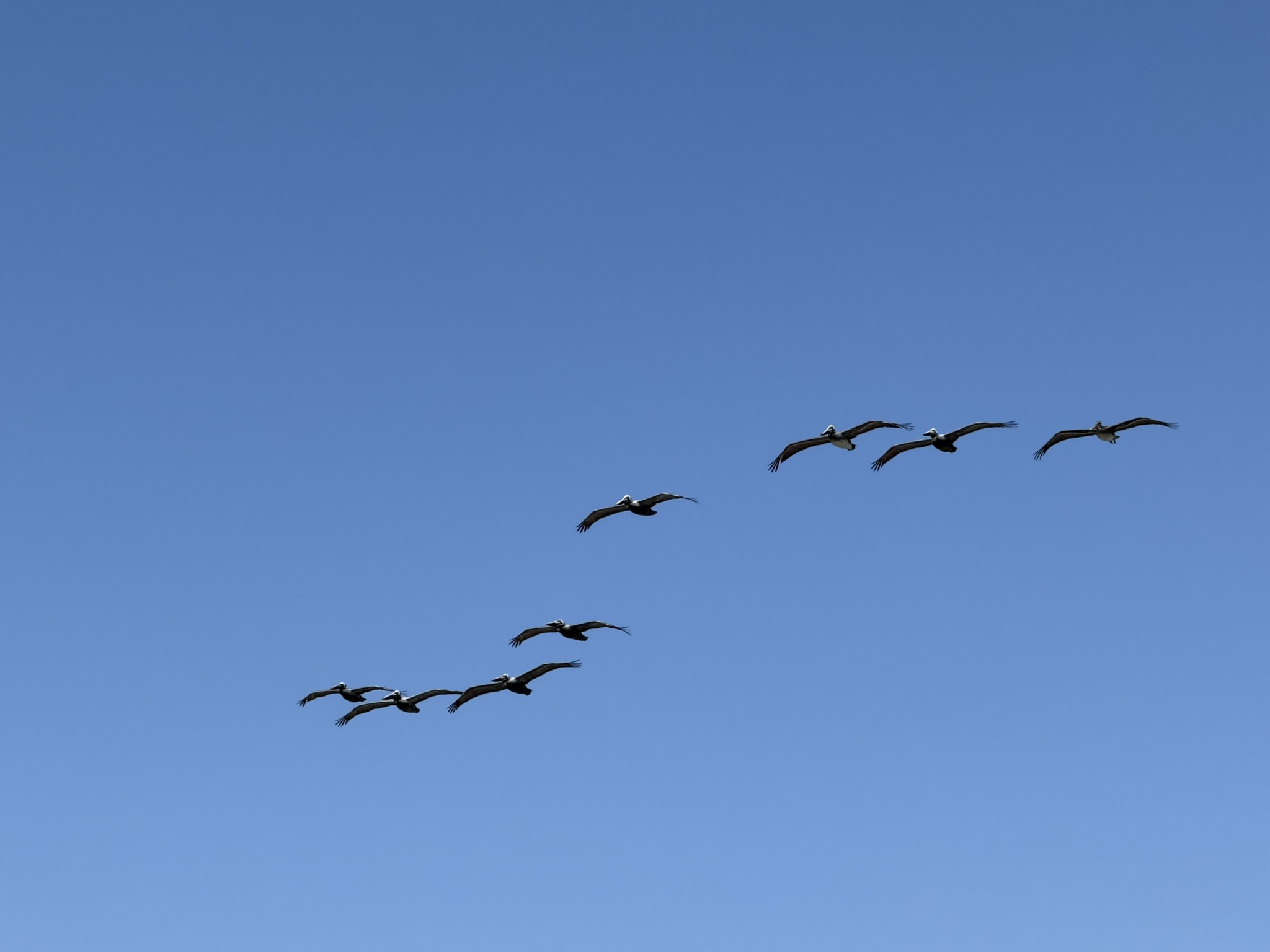 Brooks Island Regional Preserve
