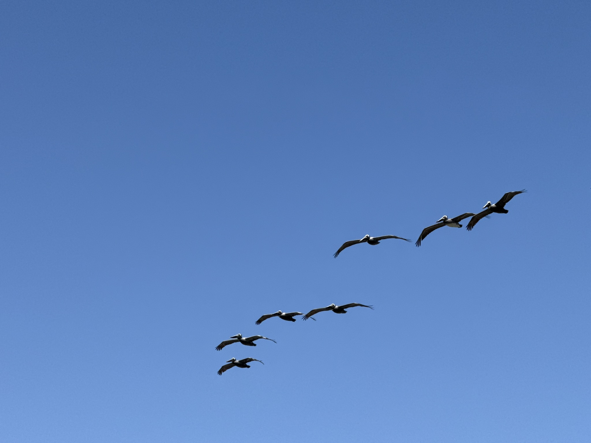 Brooks Island Regional Preserve