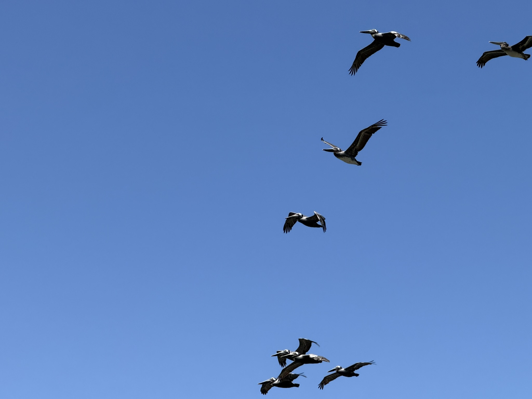 Brooks Island Regional Preserve