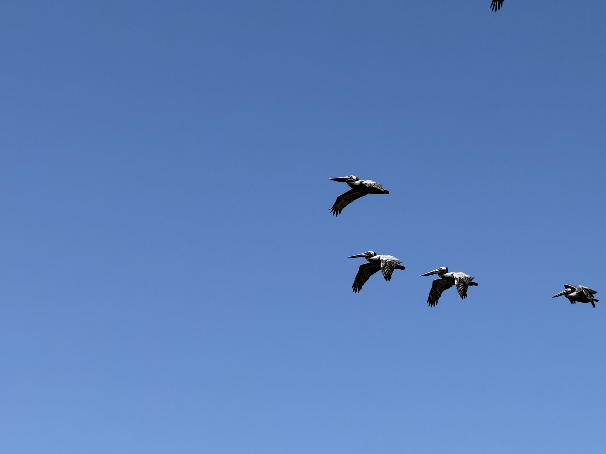 Brooks Island Regional Preserve