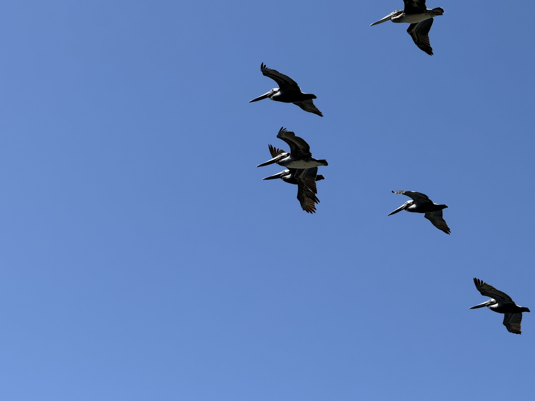 Brooks Island Regional Preserve