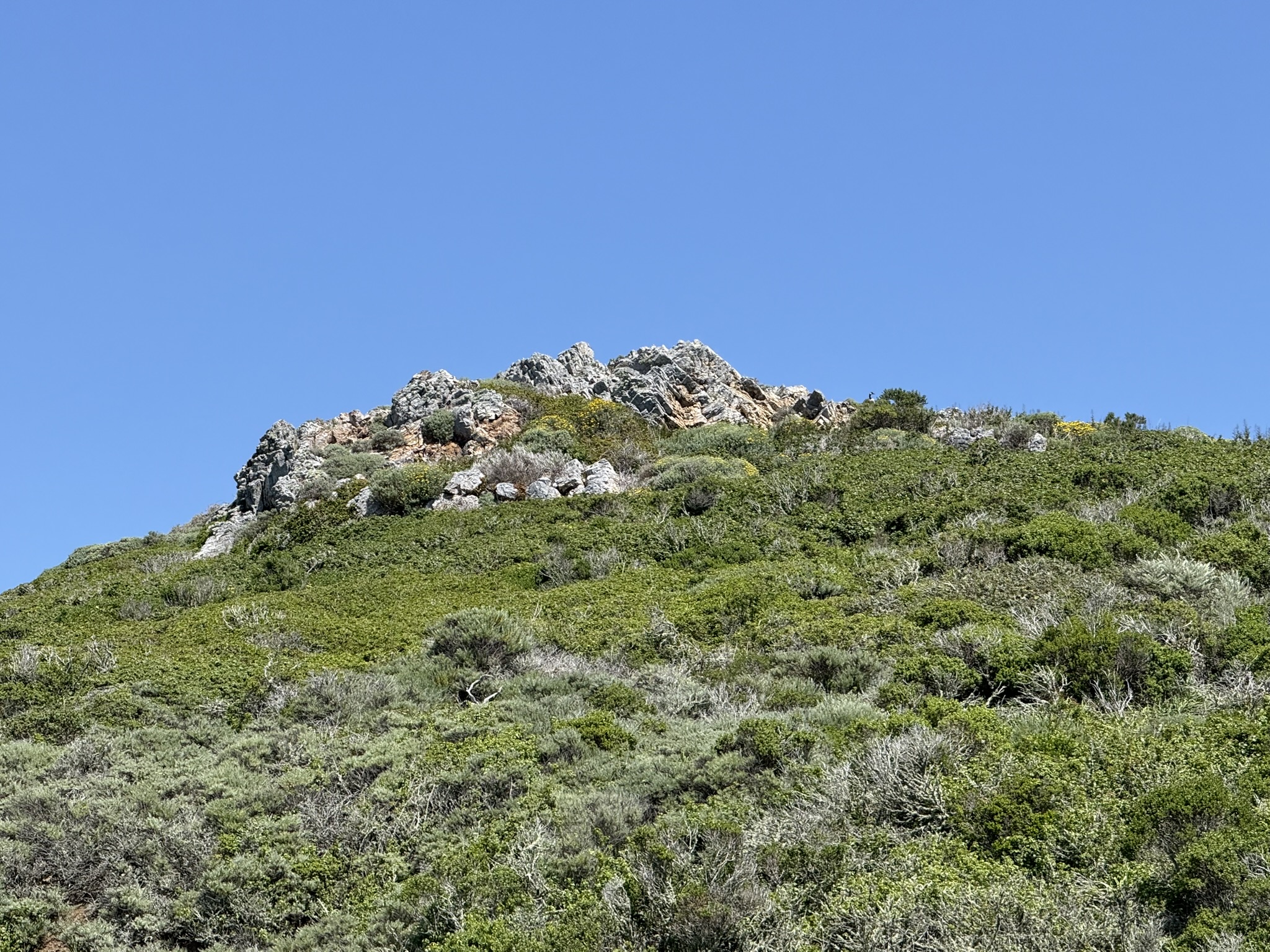 Brooks Island Regional Preserve
