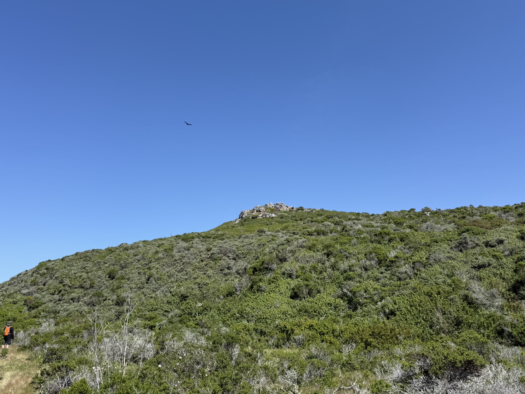 Brooks Island Regional Preserve